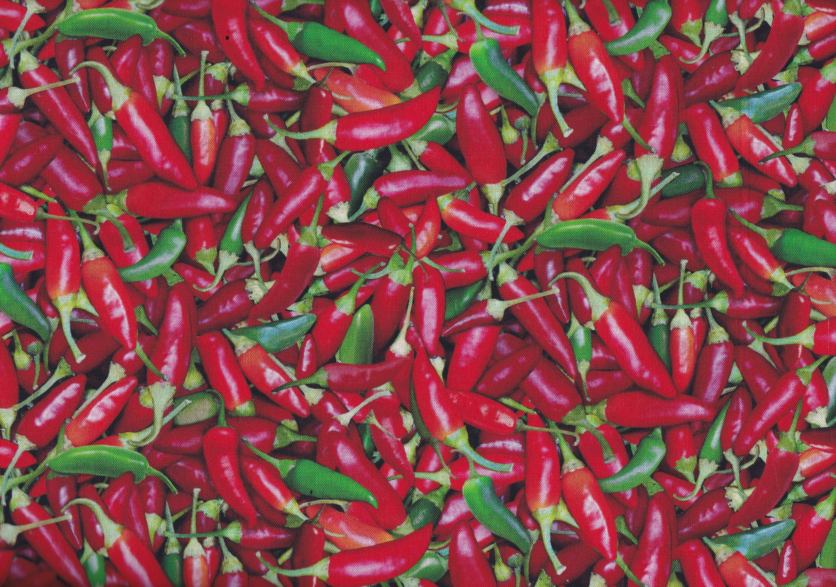 Food Festival  Peperoni