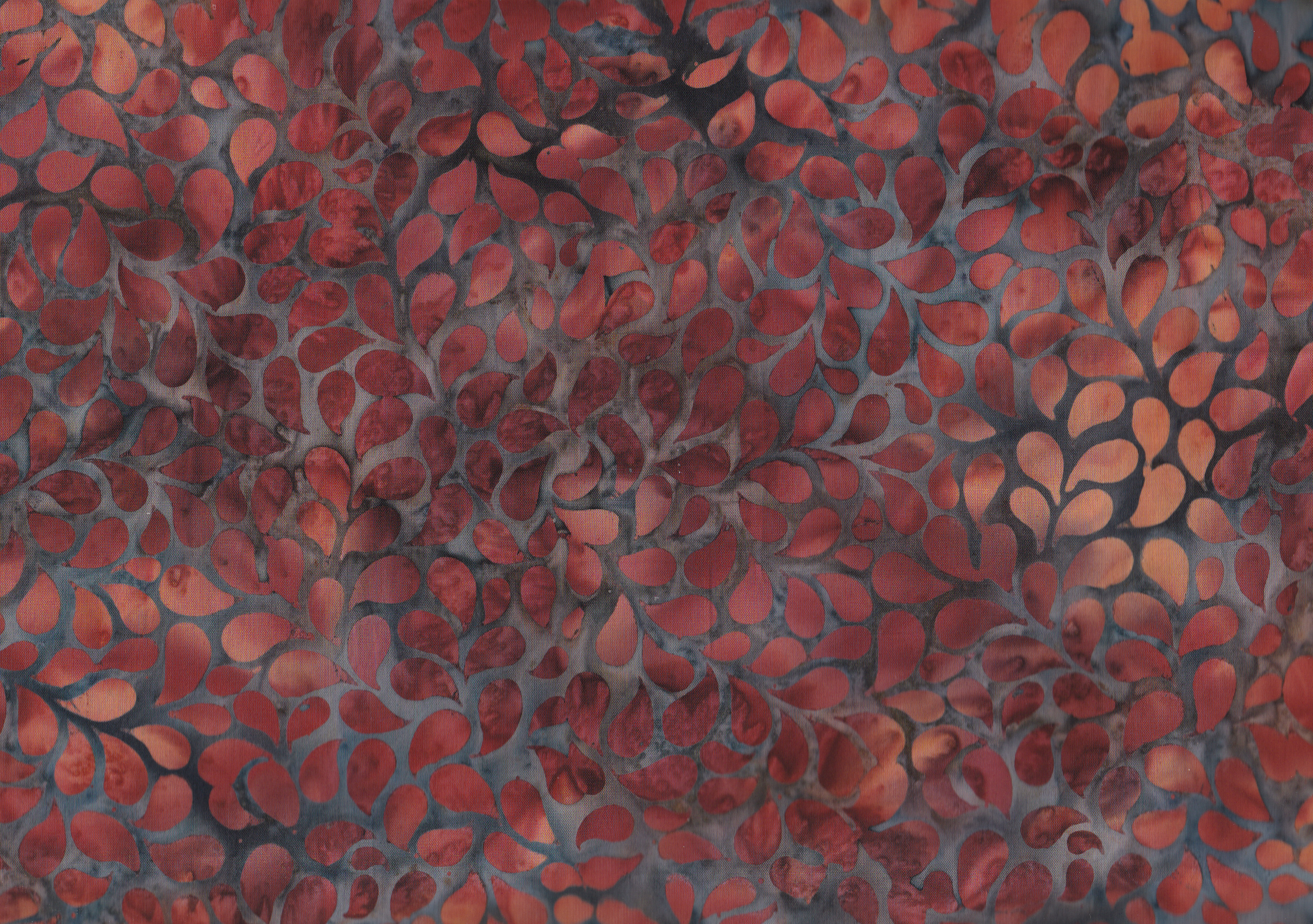 X2631-573 Pecan