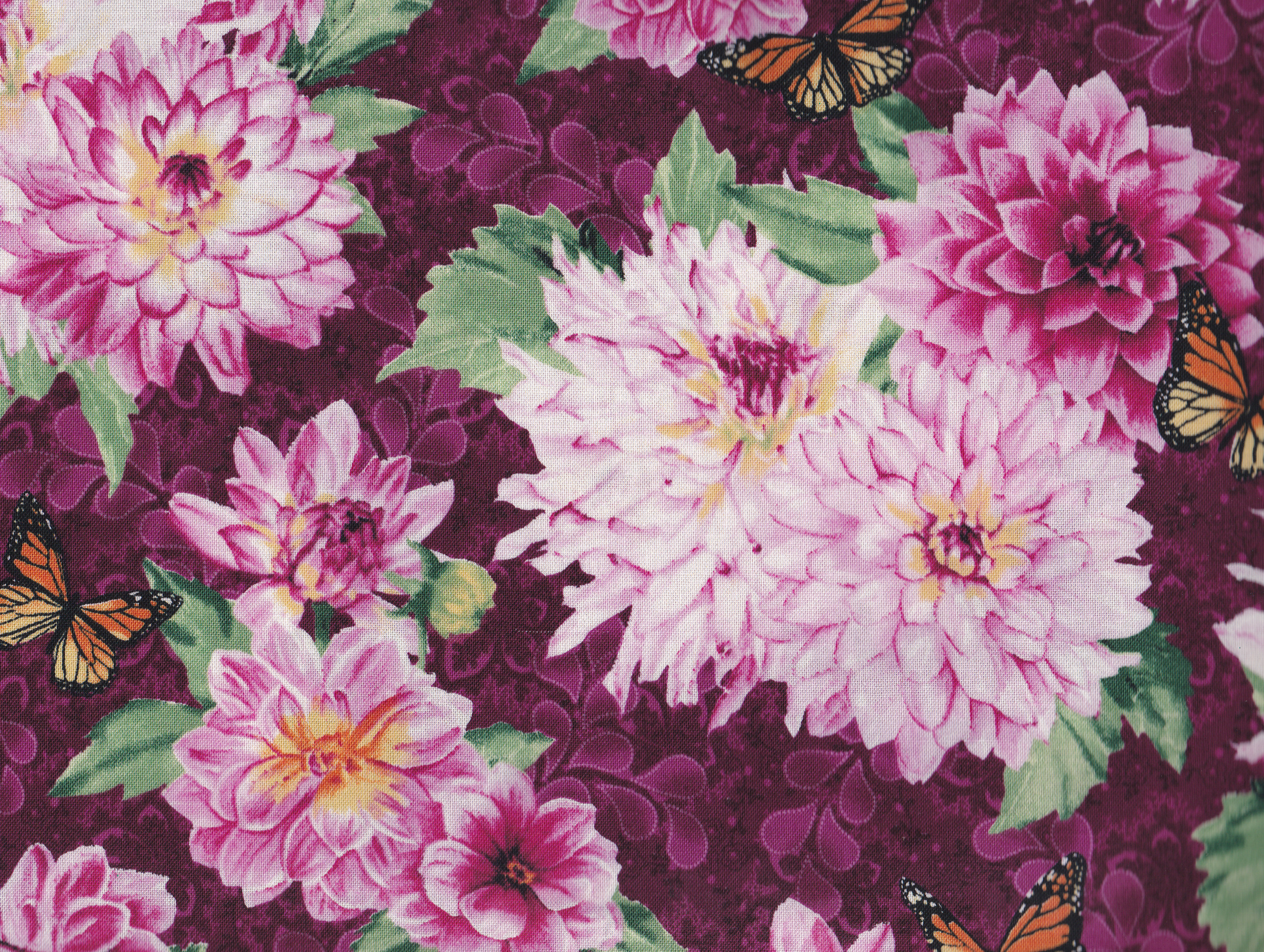 Blumen / Newport Place