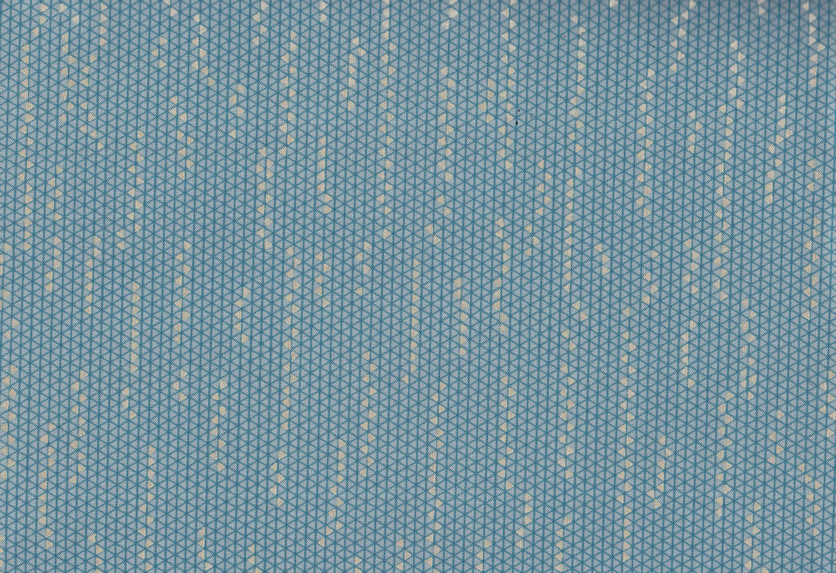 Winter Shimmer-Starry