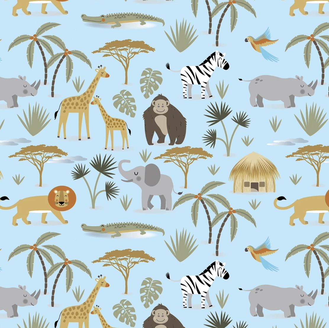 Safari