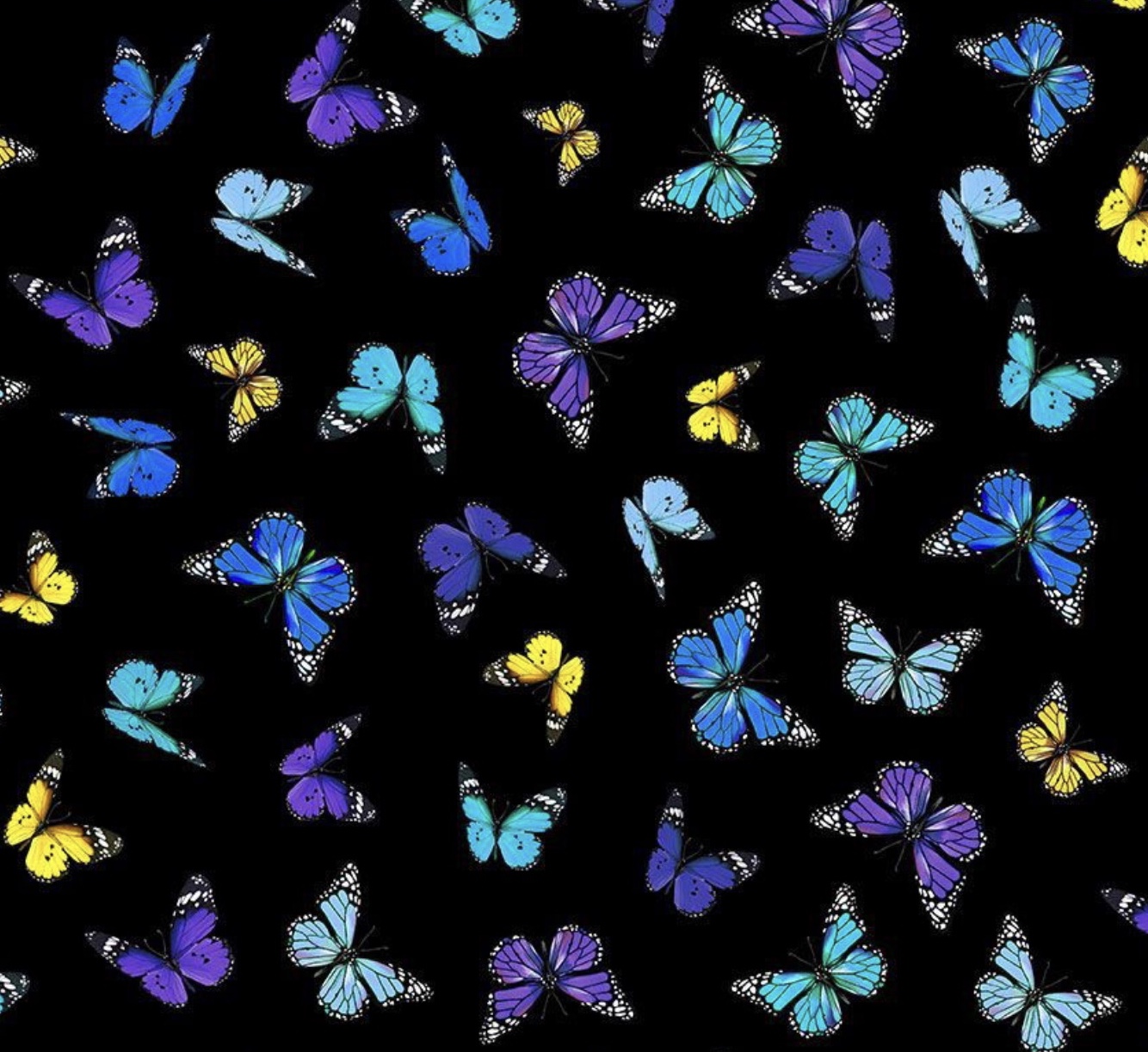Butterflies/ Serie Mariposa Black