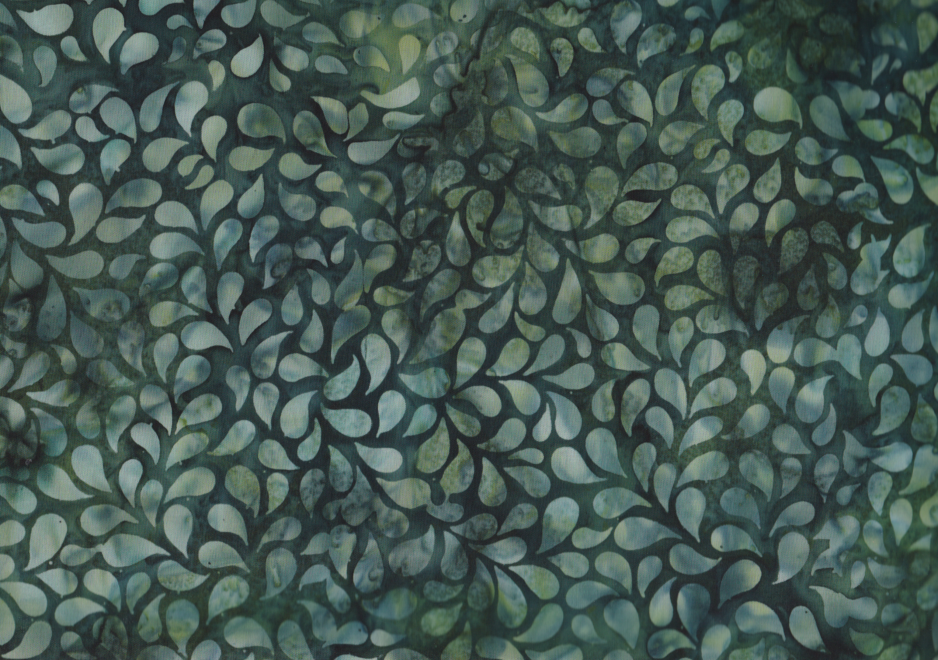 X2631-225 Rosemary