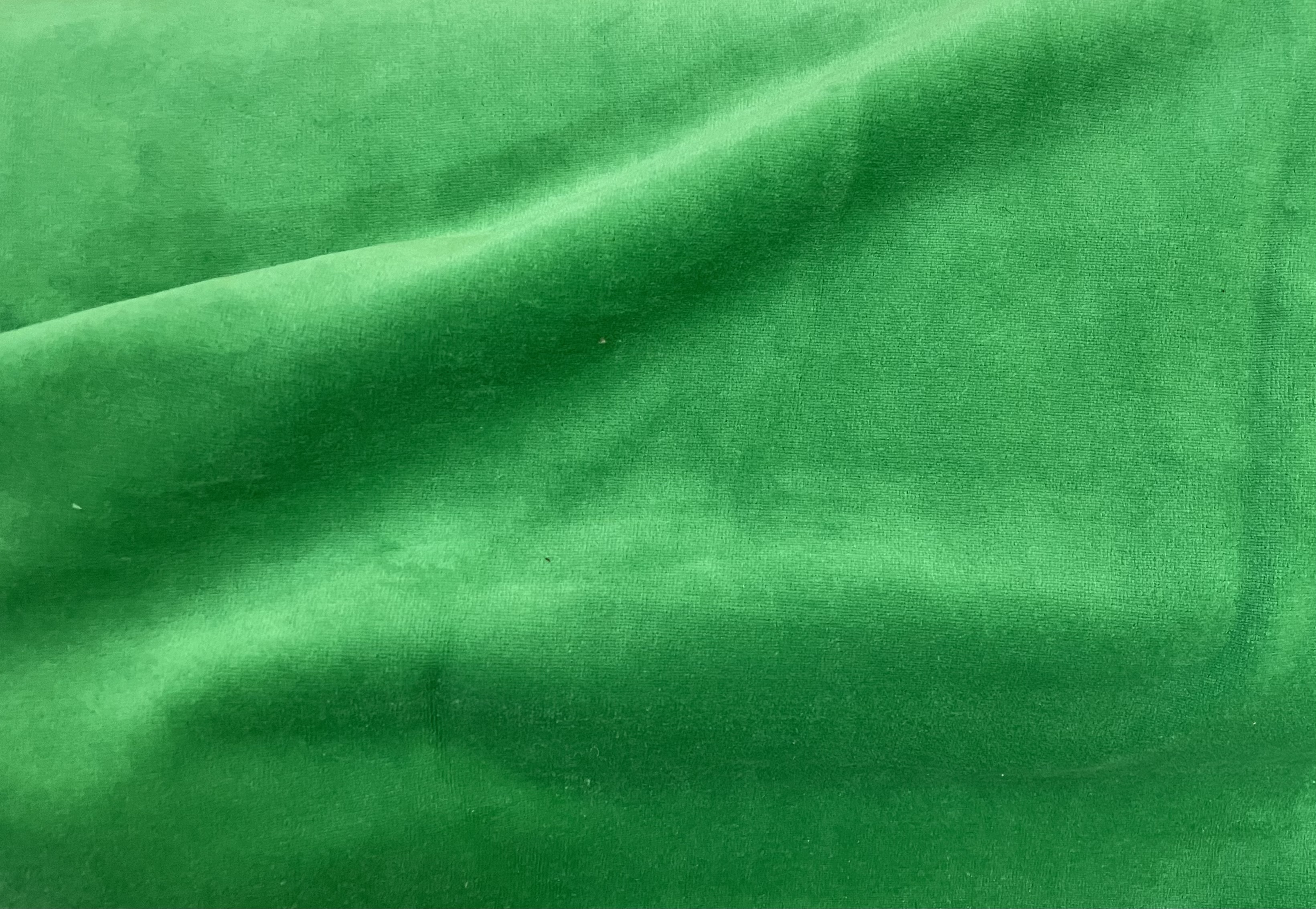 Jersey Stoff Niki  Grün