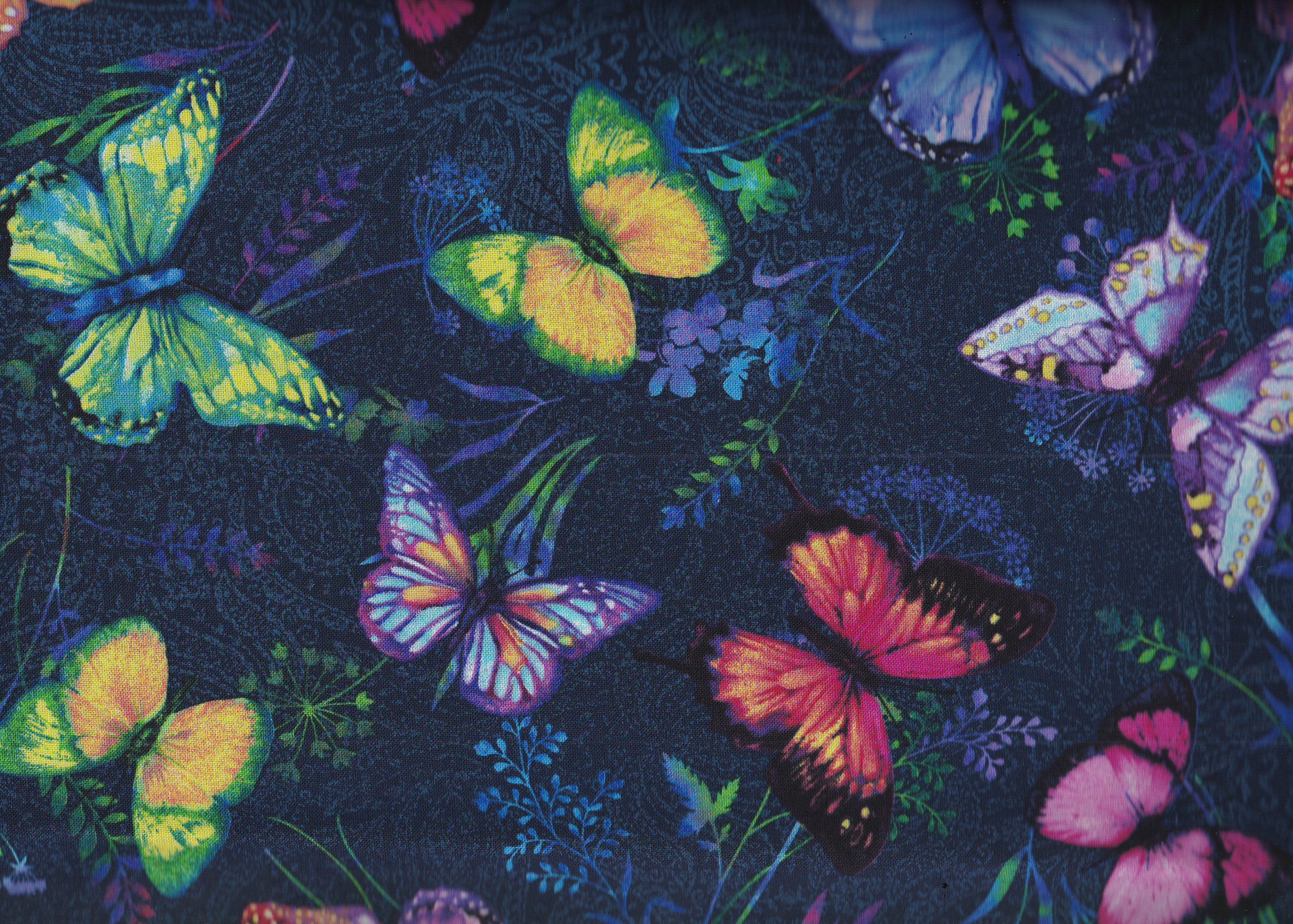 Butterfly Paradise/ Reststück 58  x 110 cm