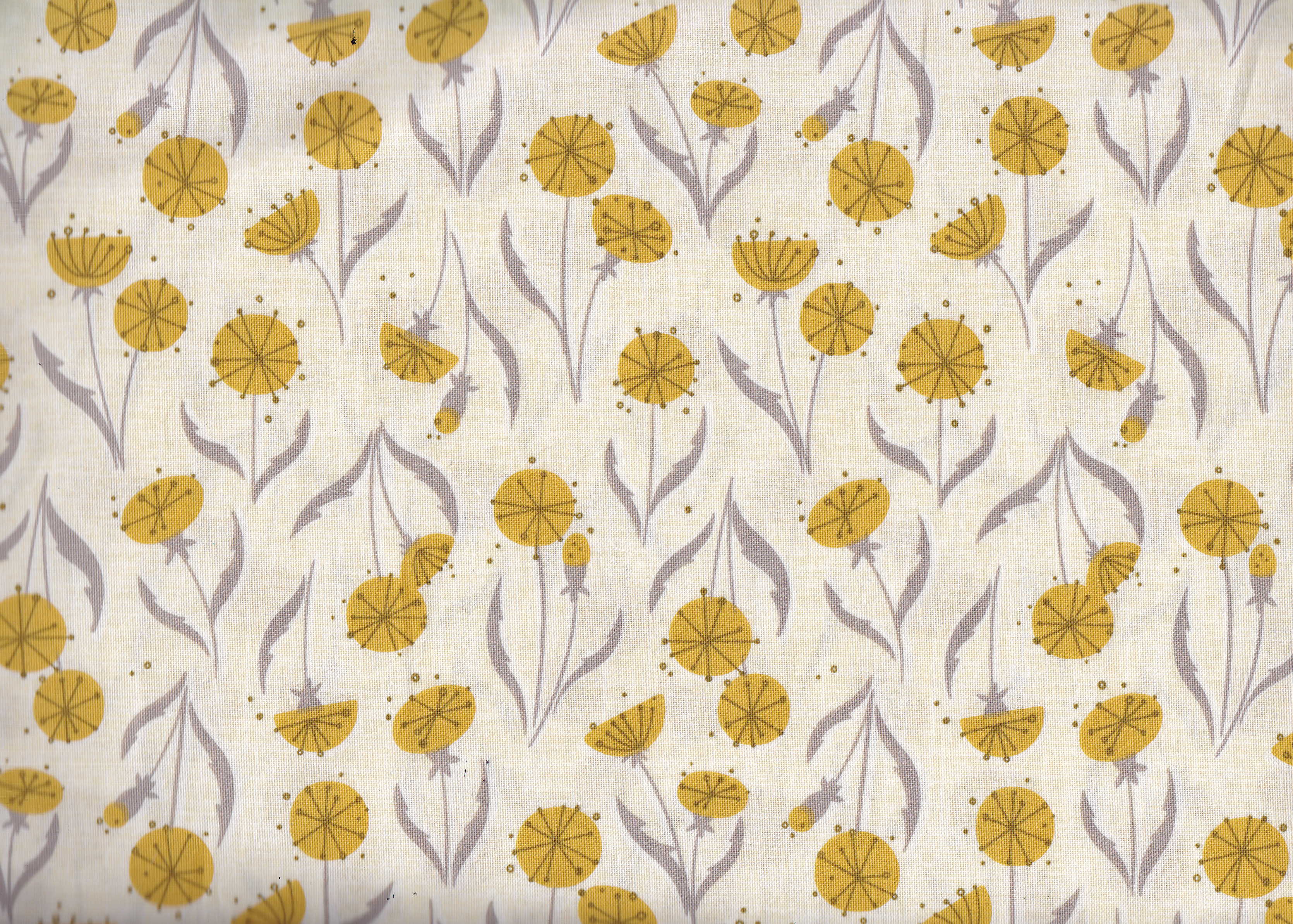 Petal Pusher - Dandelions