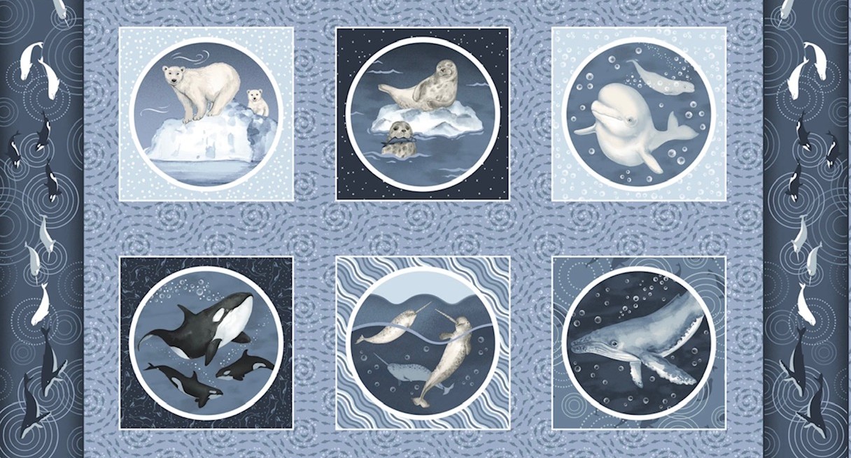 Polar Plungers Panel