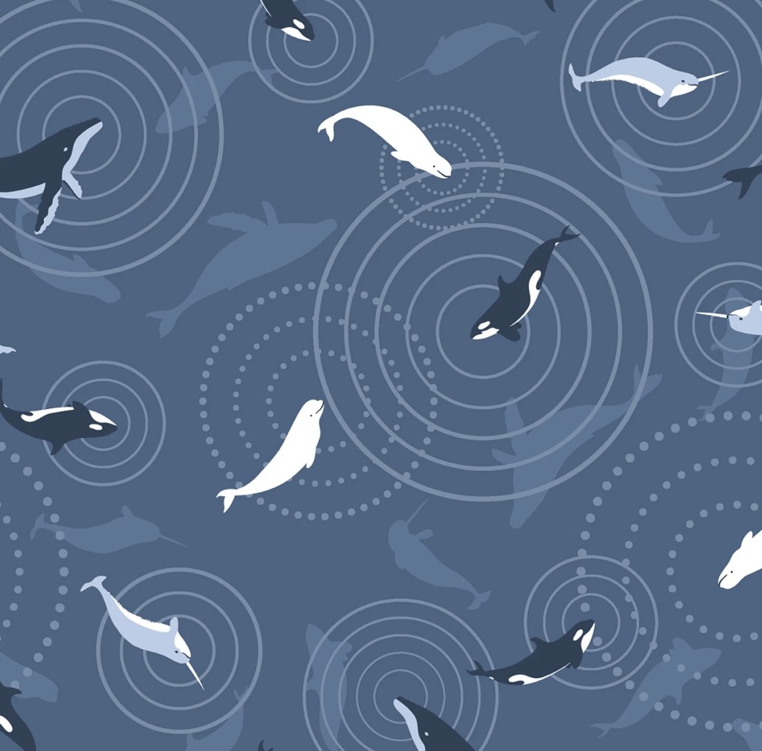 Polar Plungers/ Wale