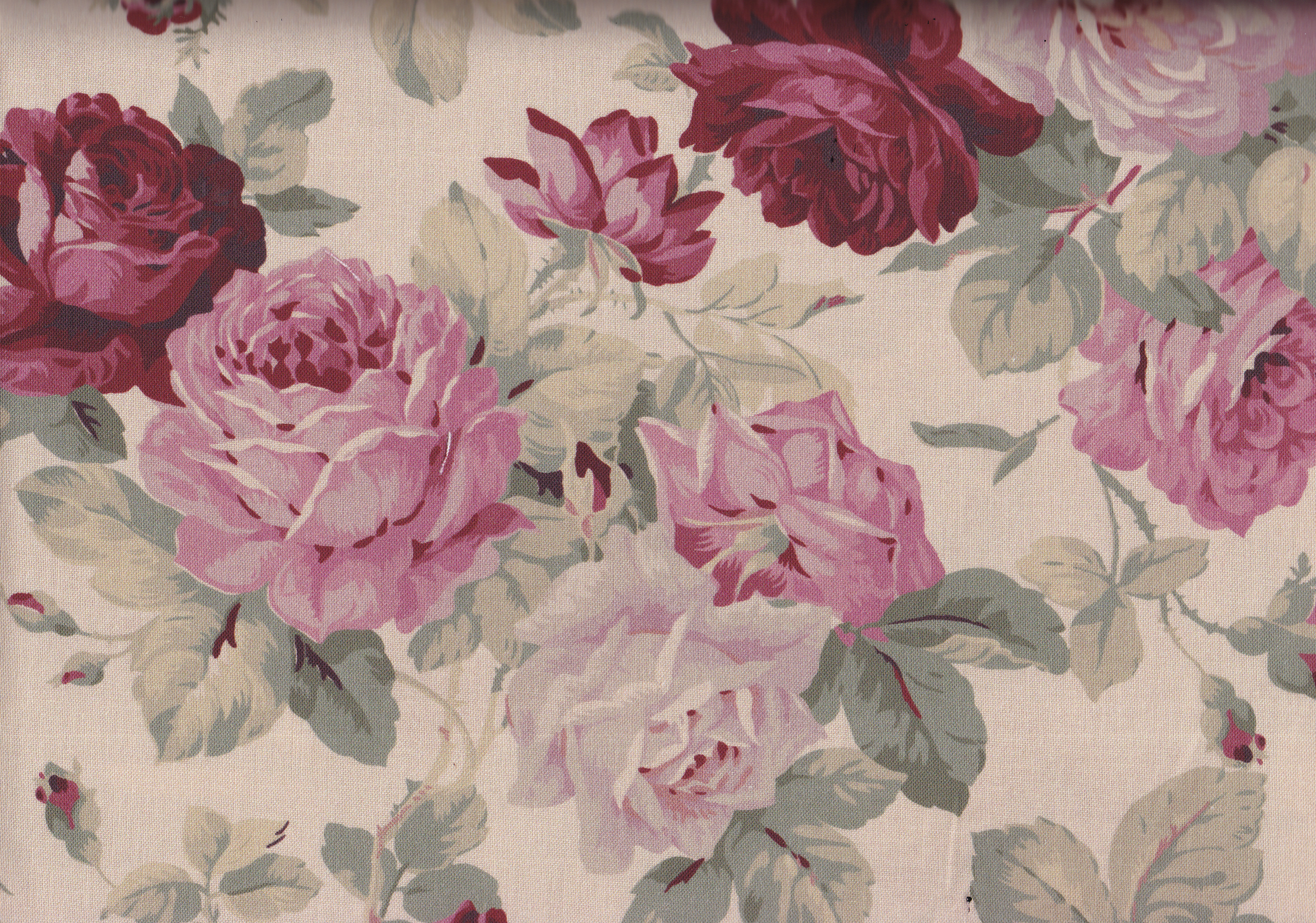 Anastasia-Large Rose