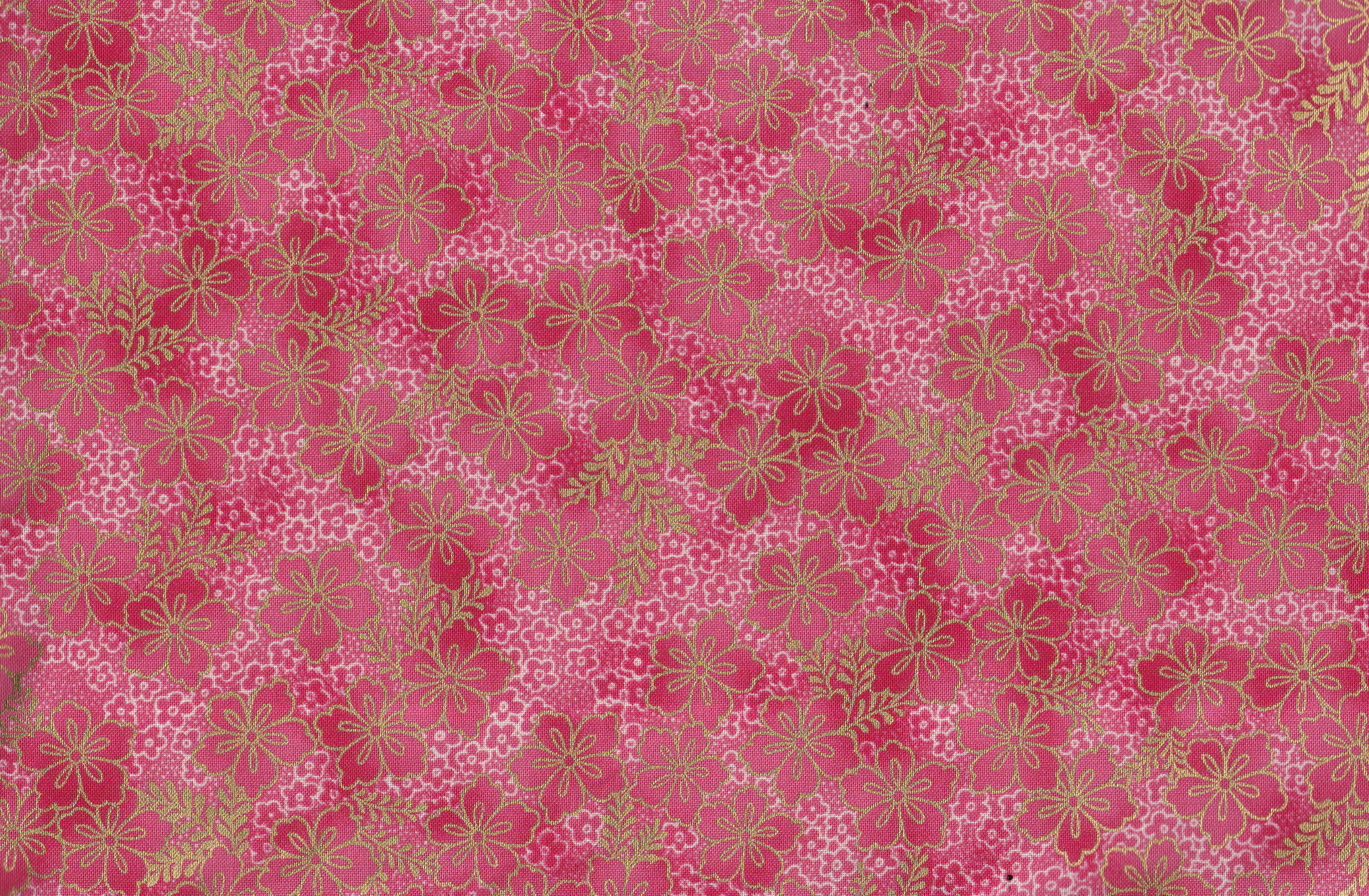 Imperial Coll. Garden