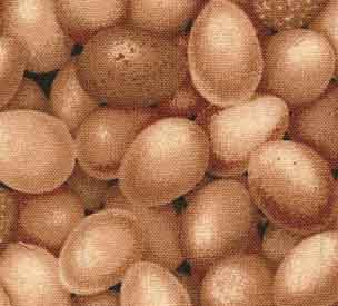 Mini Eggs/ Reststück 50 x 110 cm