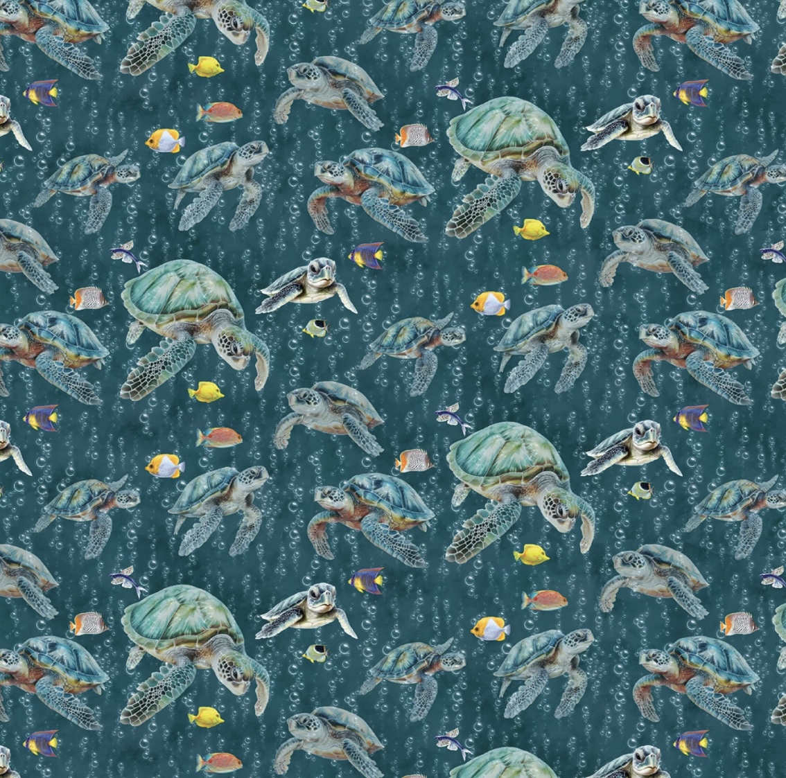 Schildkröten Teal / Under the sea