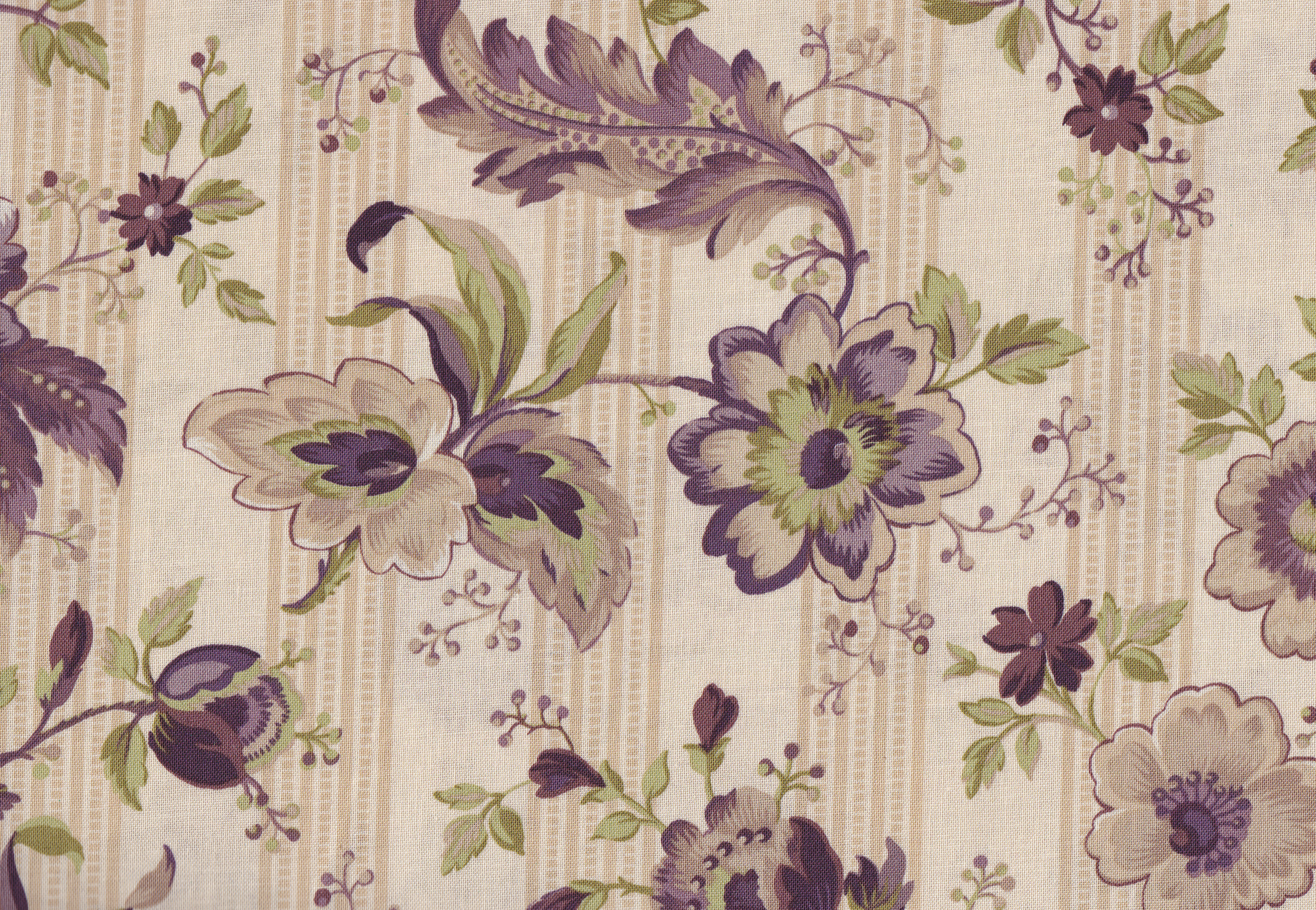 Purple Passion-Cream