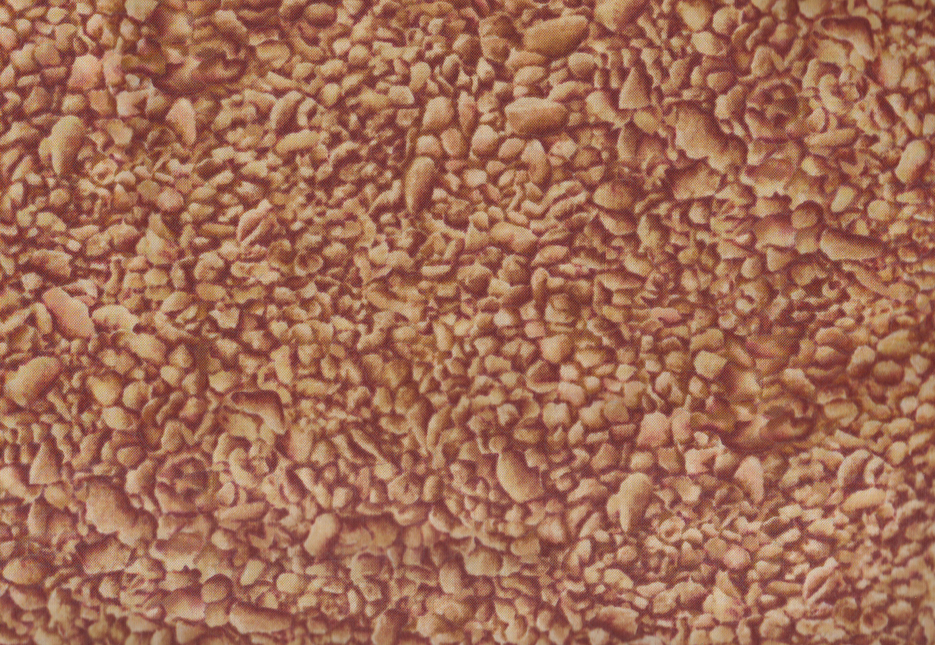 Natures Elements/ Reststück 0,5 x 1,10 m