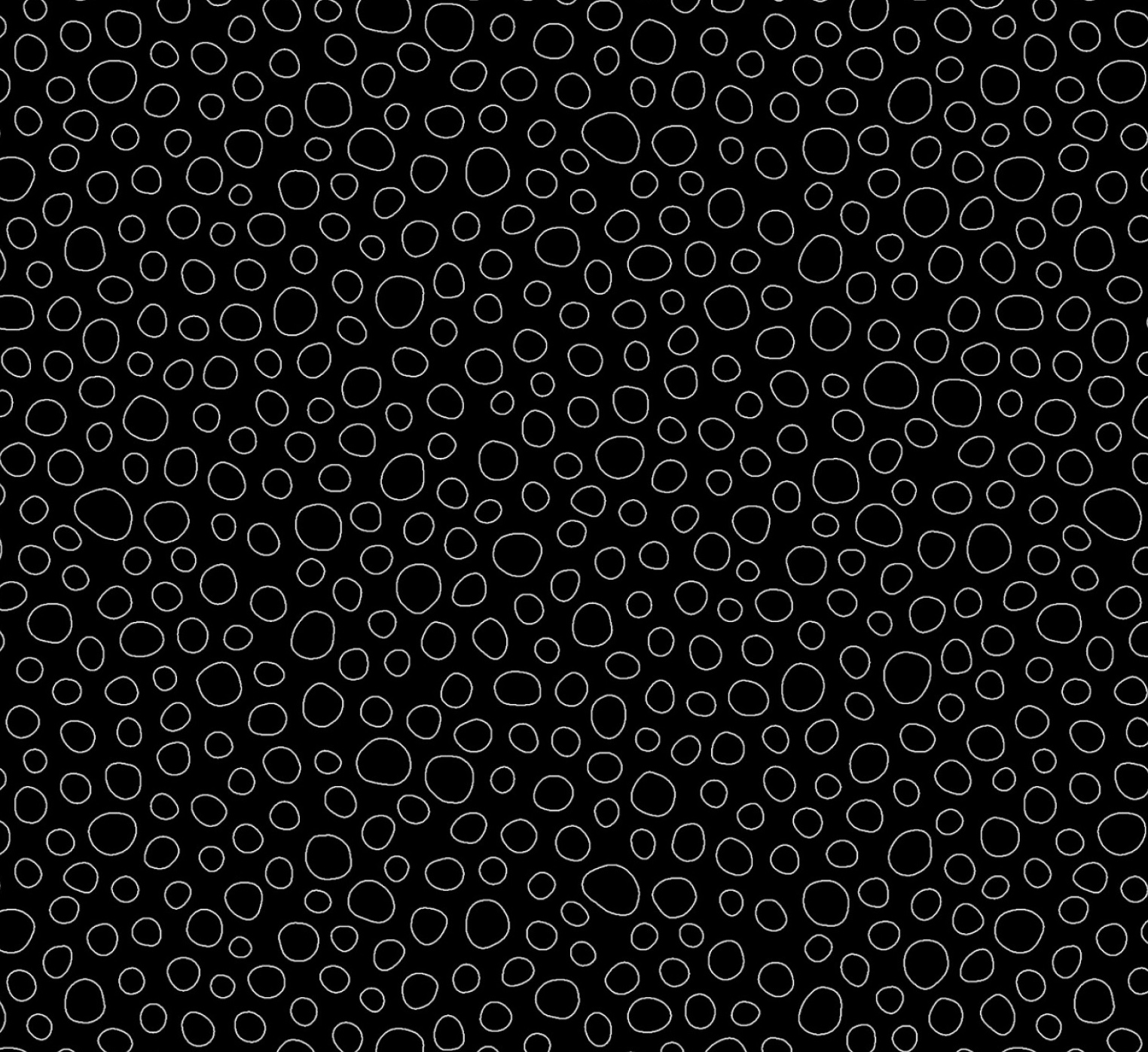 Pebbles Black/ White