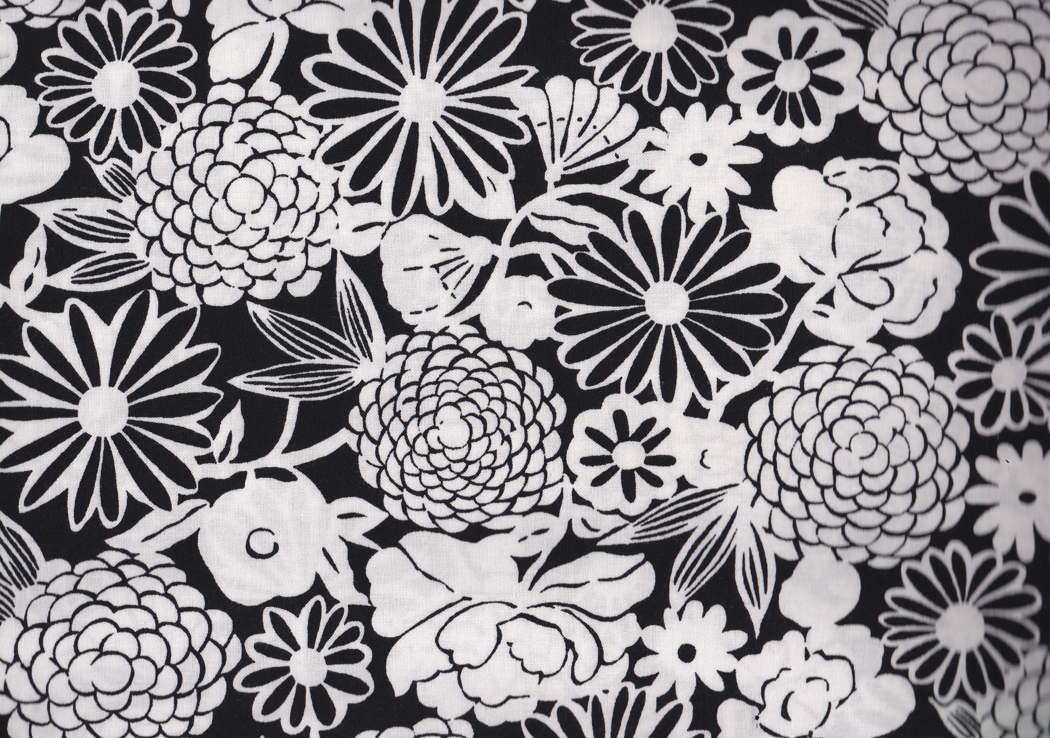 Midwinter Garden/ Noch ca. 3 m vorhanden