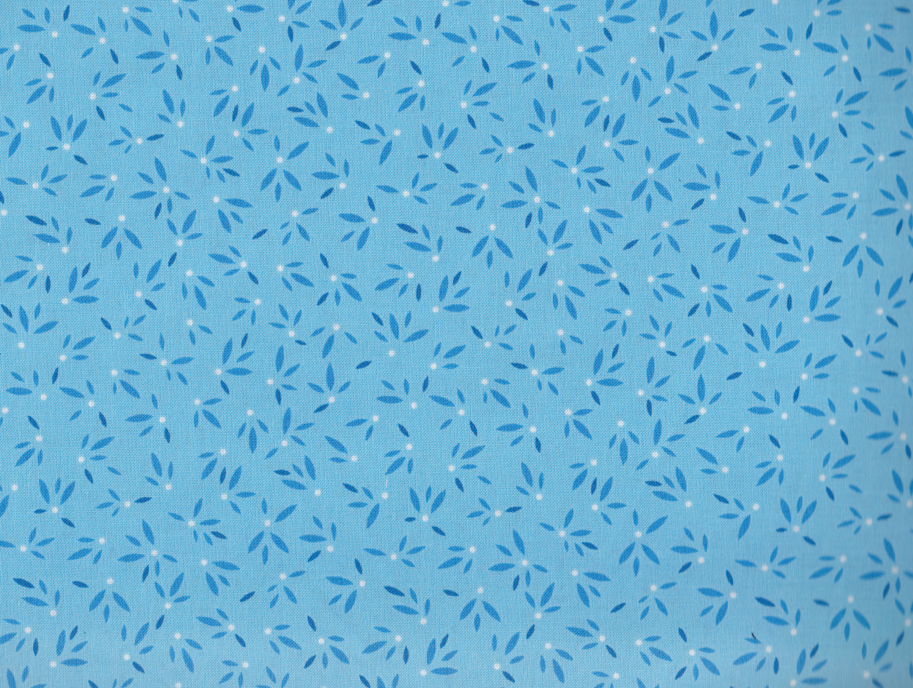 Flora & Fauna / Blau