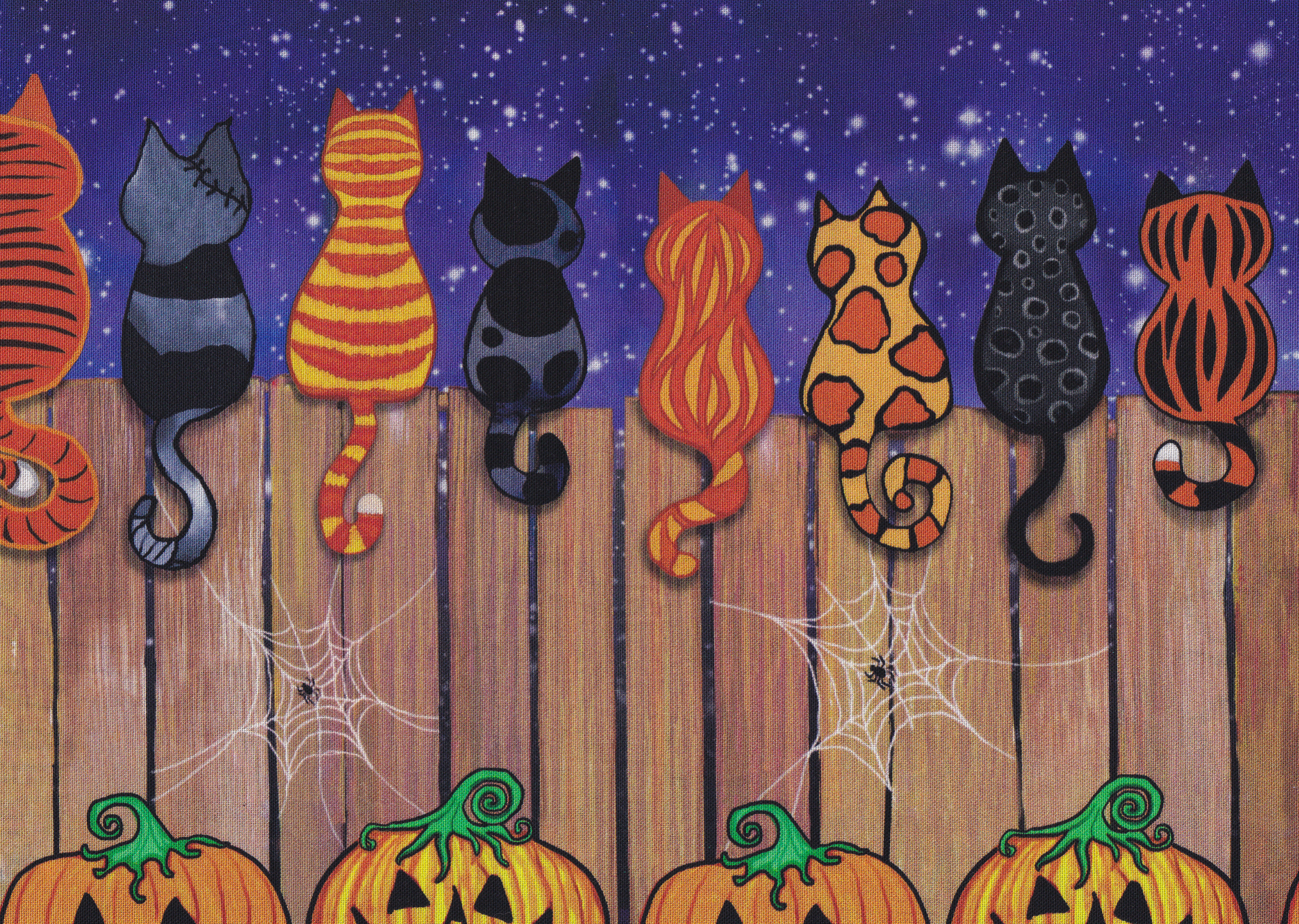 Katzen- Border  Spooky