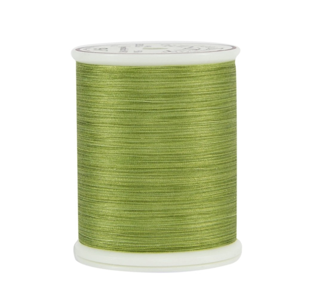 Multicolor English Ivy