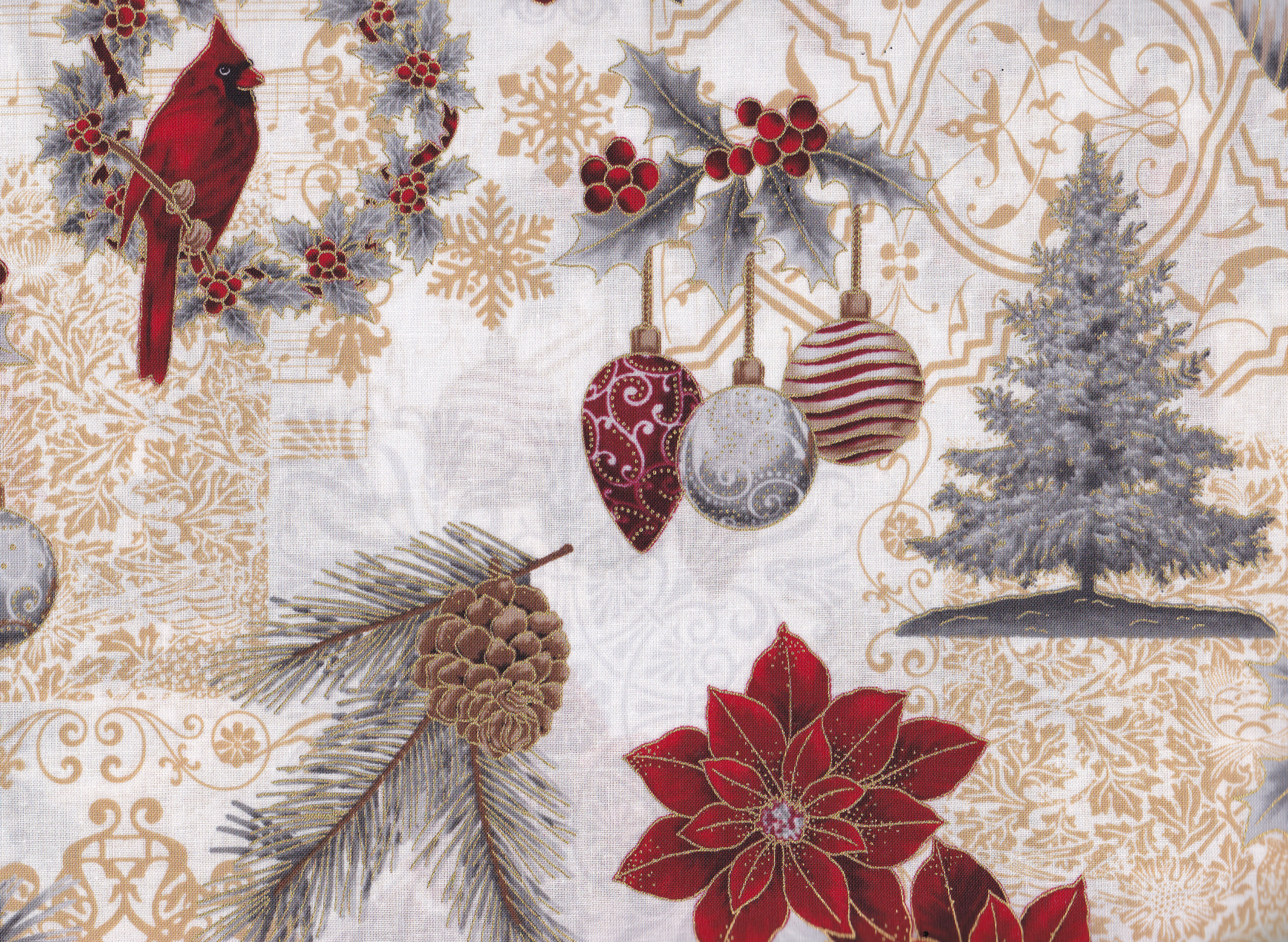 Poinsettia, Cardinal Gold