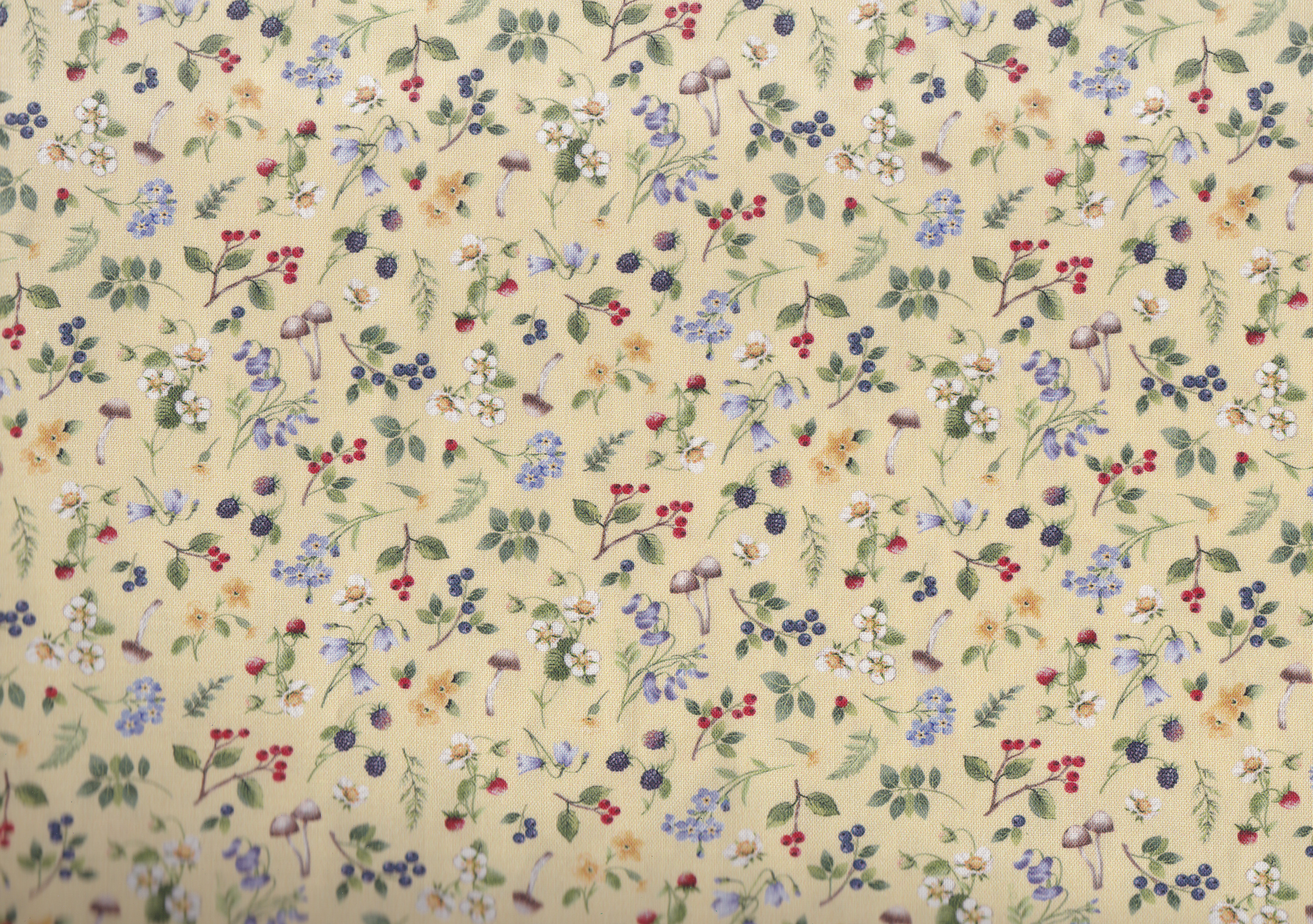 Country Mouse /Beeren