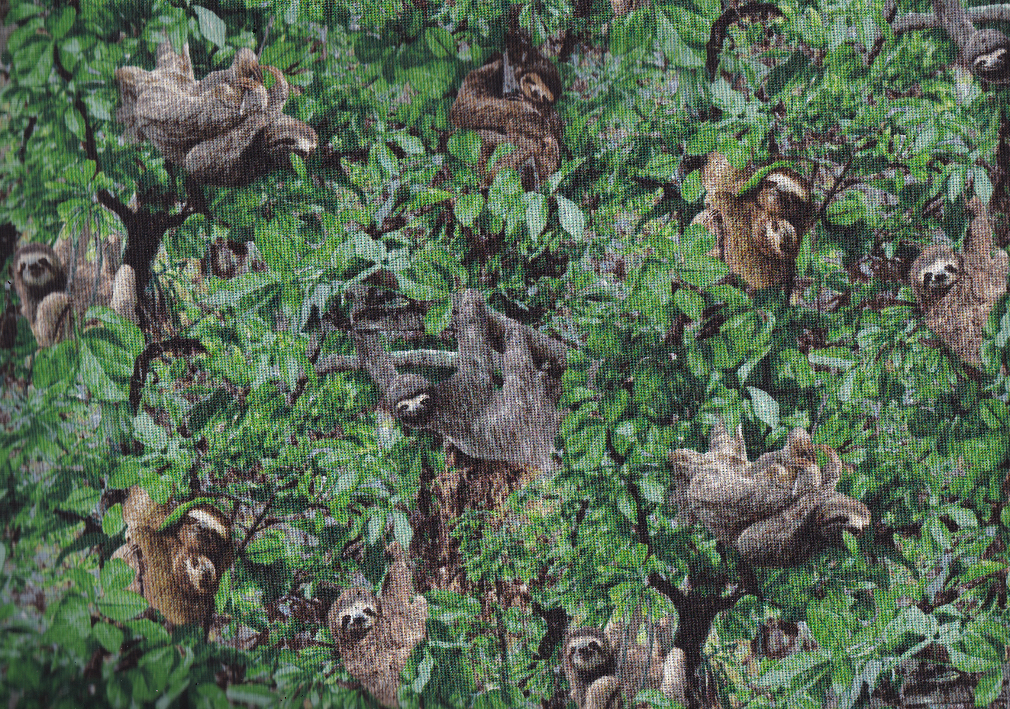 Sloth - Faultiere/ Re3ststück 30 x 110 cm