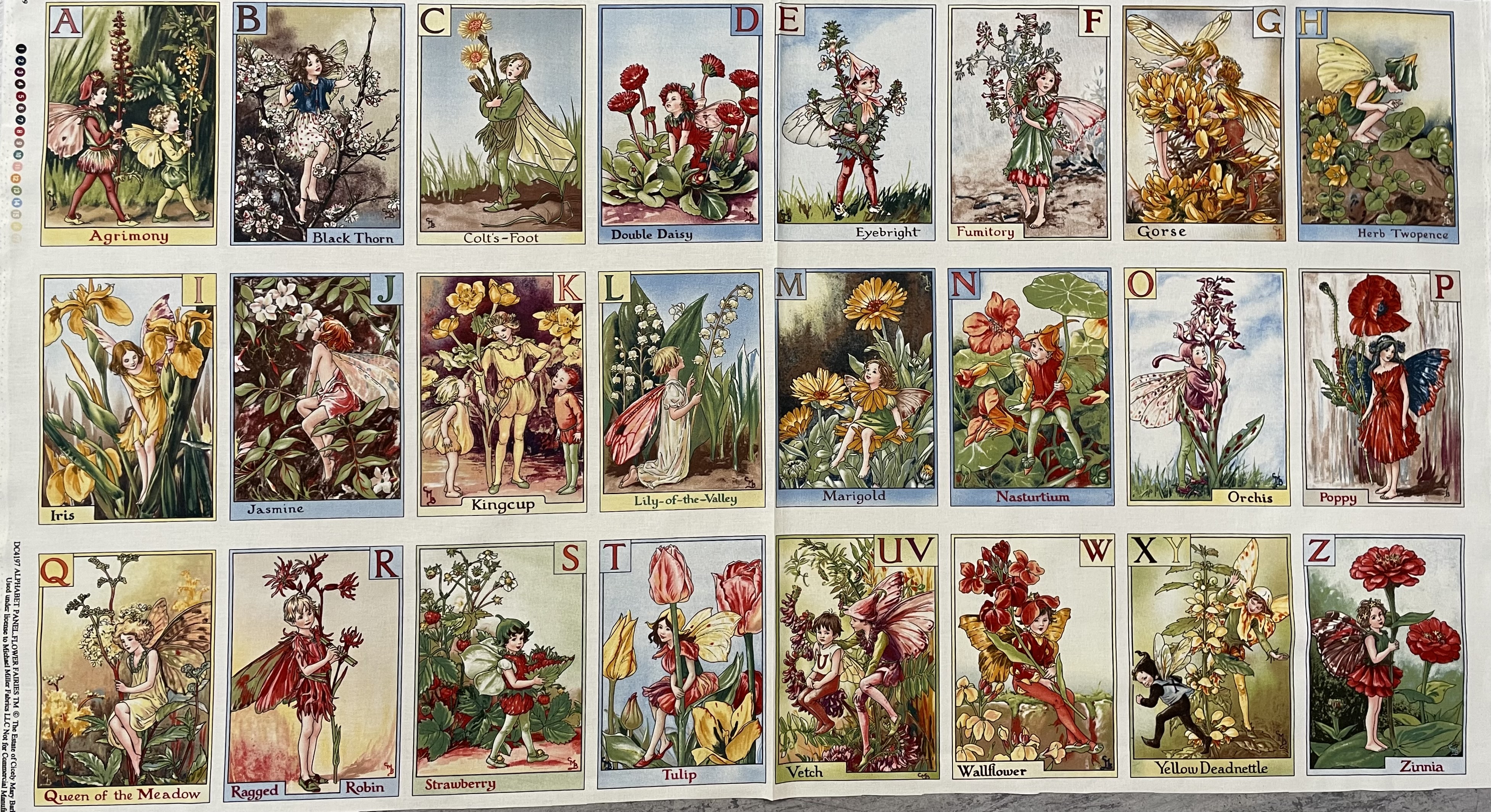 Panel mit Alphabet und Feen, Blumen.