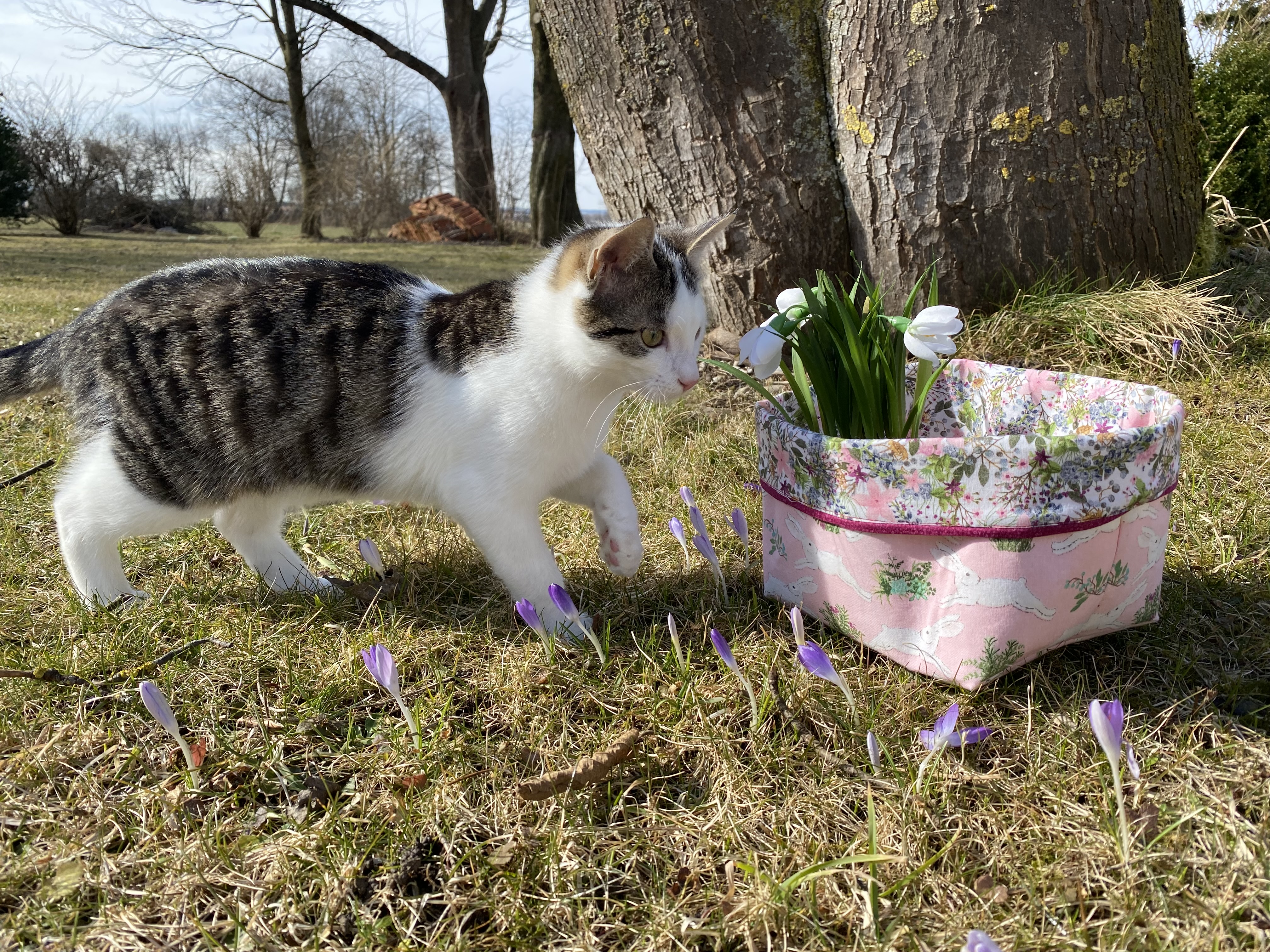Frühling im Patchworkstadl