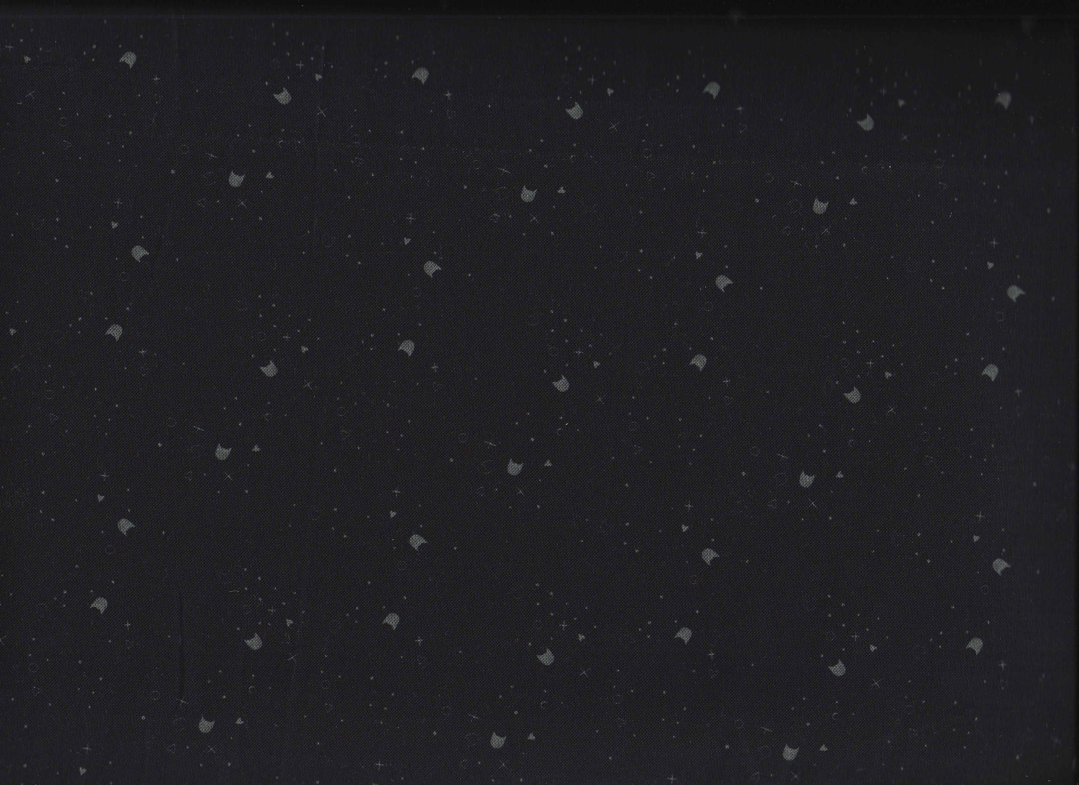 Kitty Litter-Graphite