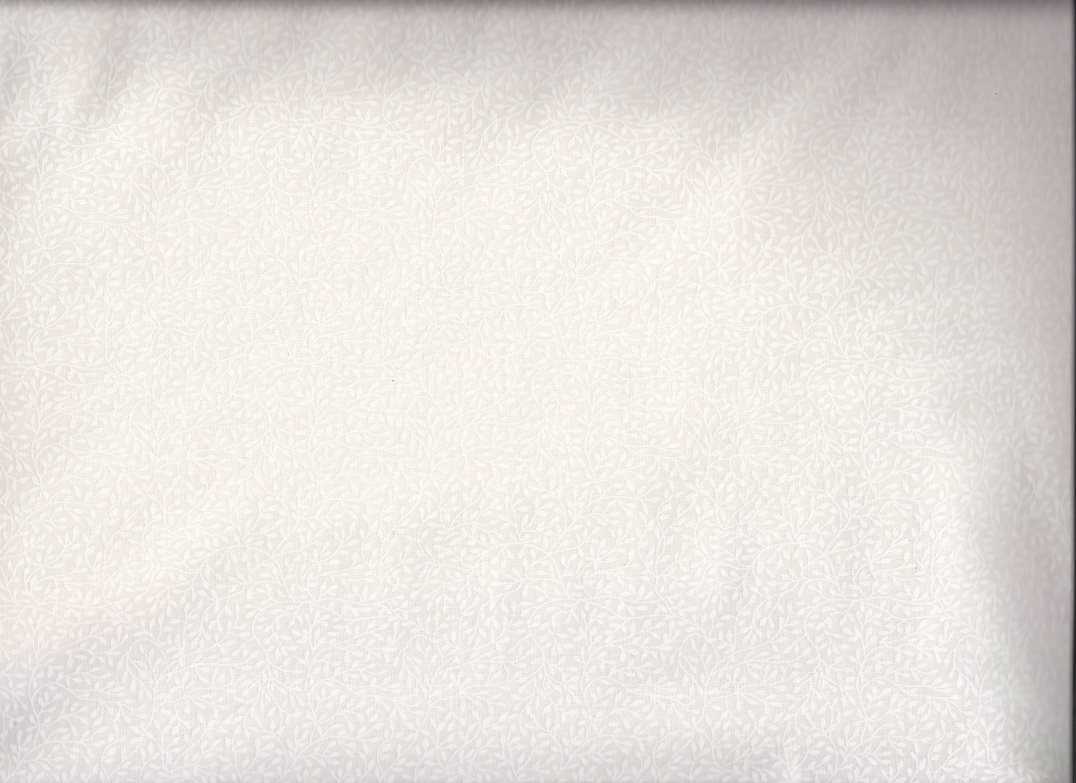 Ranken / Nur noch 1,5 m vorhanden