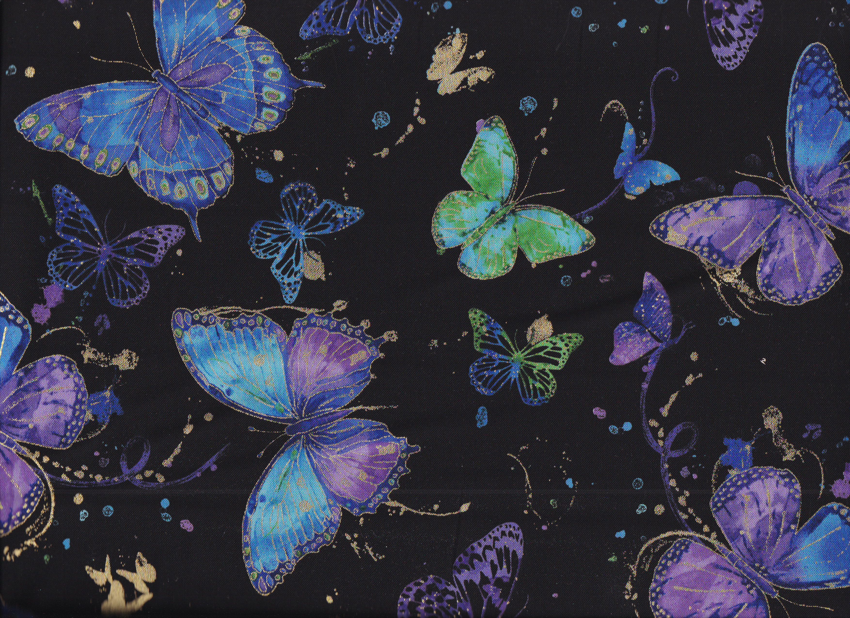 Flying Buttervlies / Schmetterling
