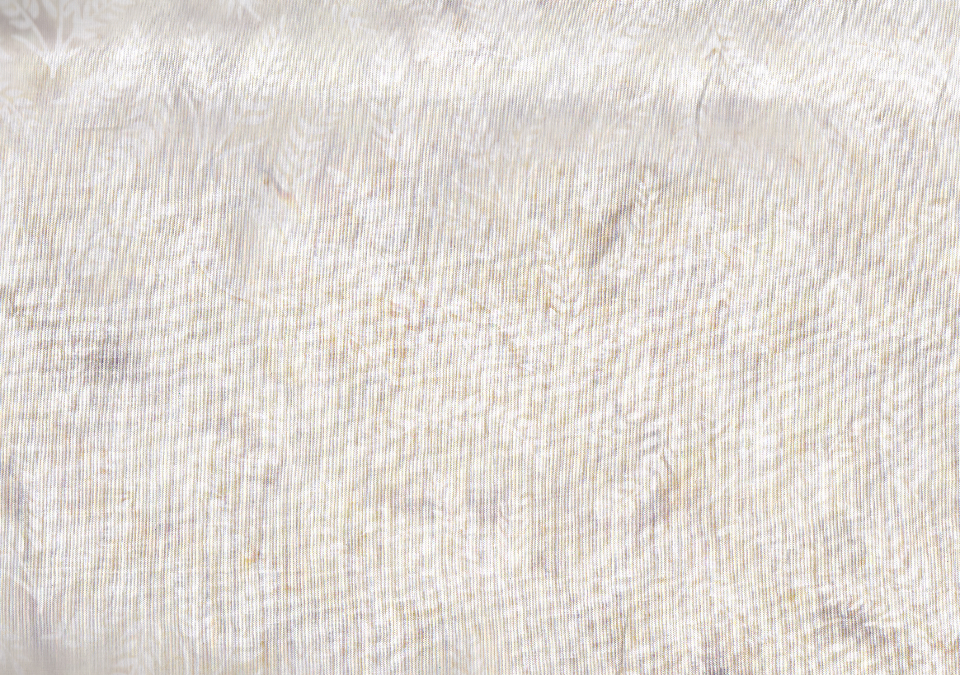 Balibatik Oyster / Blätter