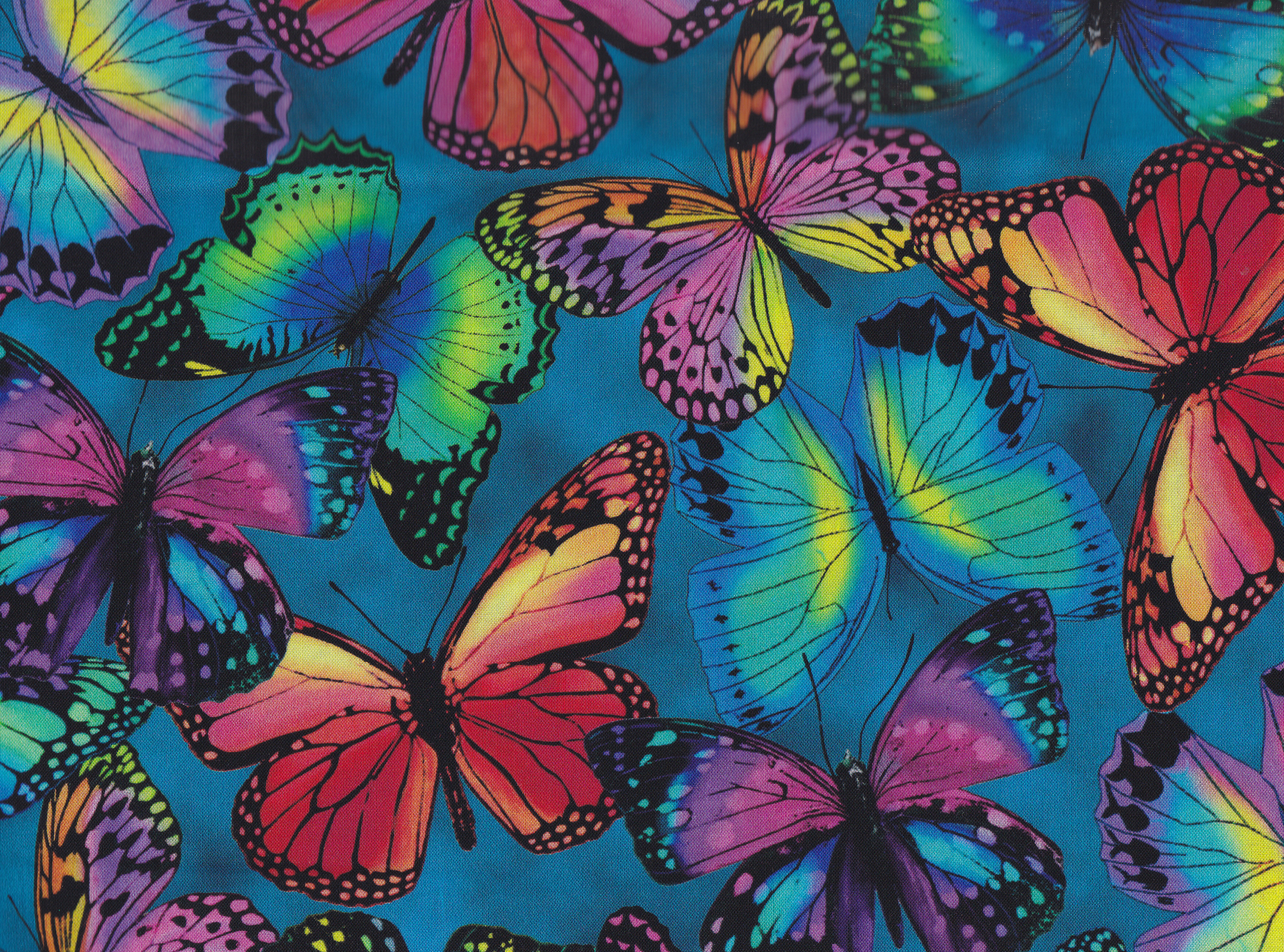 Butterflies