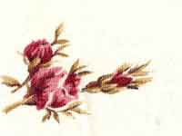 Roses de Noel/Robyn Pandolph