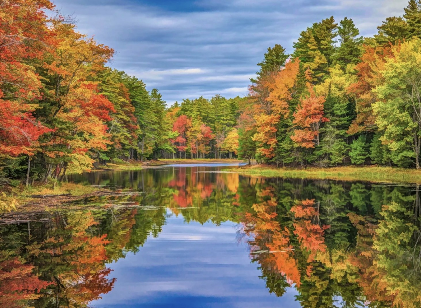 Fall Color Reflection Panel 32 x 24 inch / Nur 6 Stück vorhanden