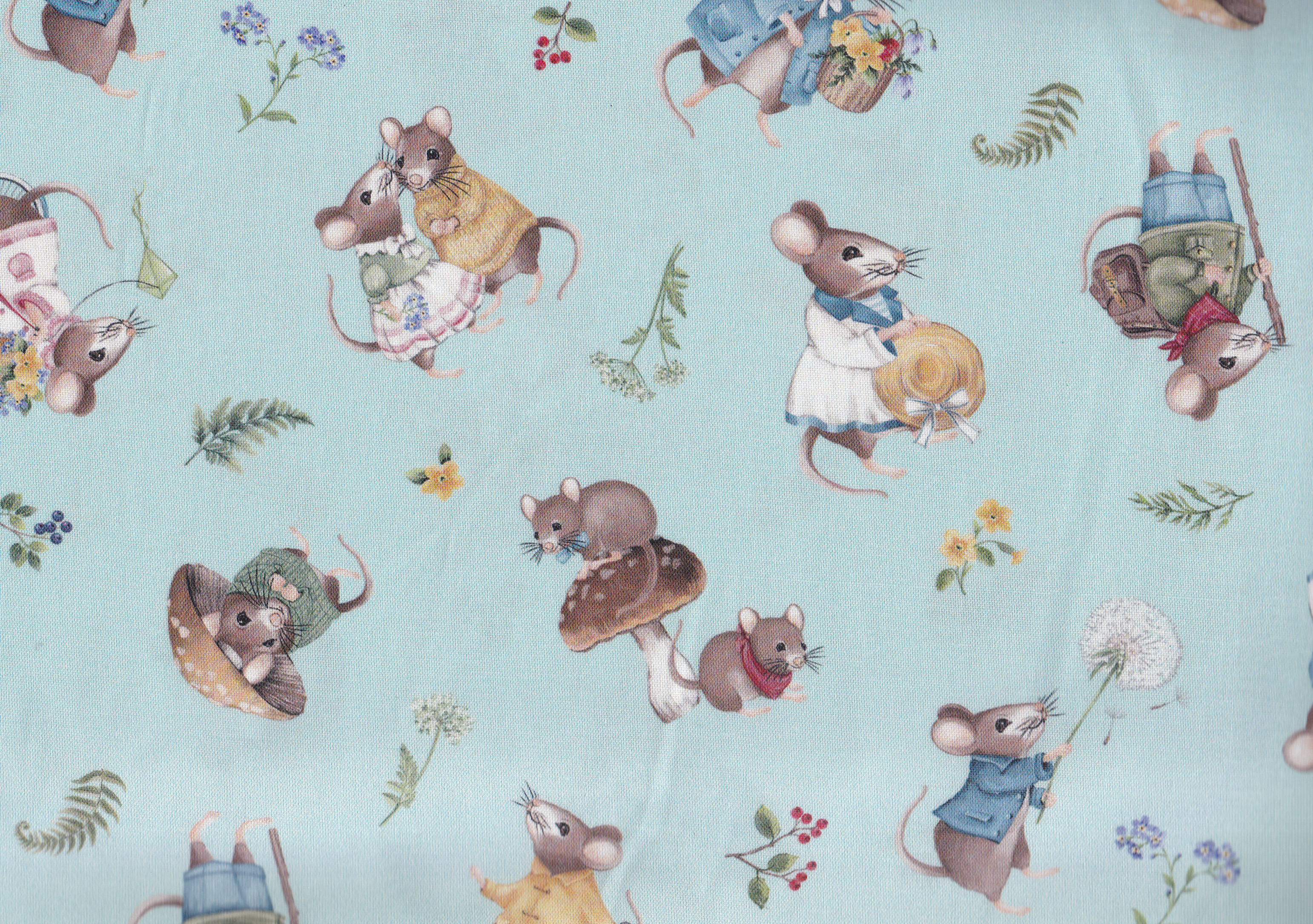 Country Mouse / Blau