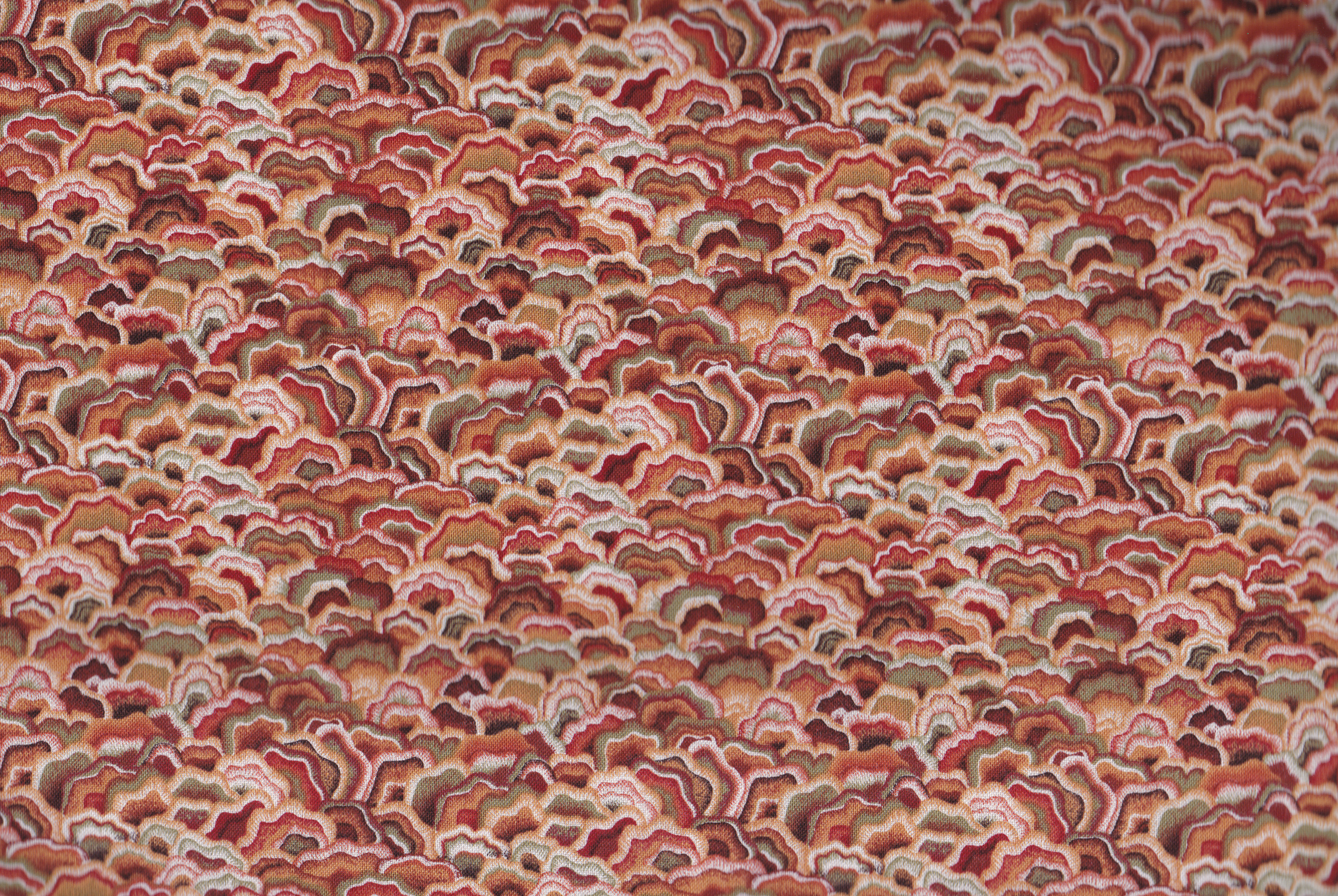 Hedgerow Scales / Braun