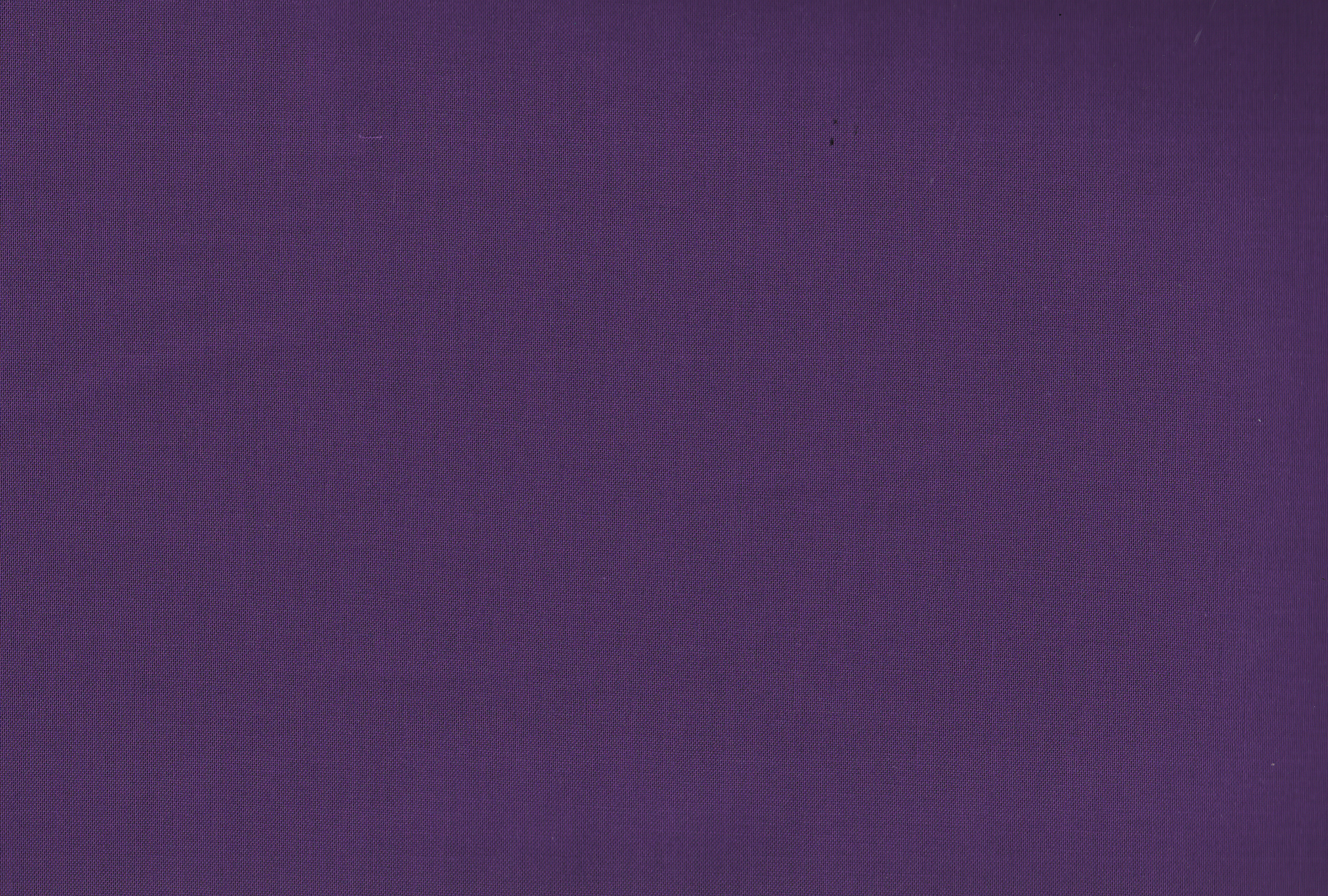 Real Purple