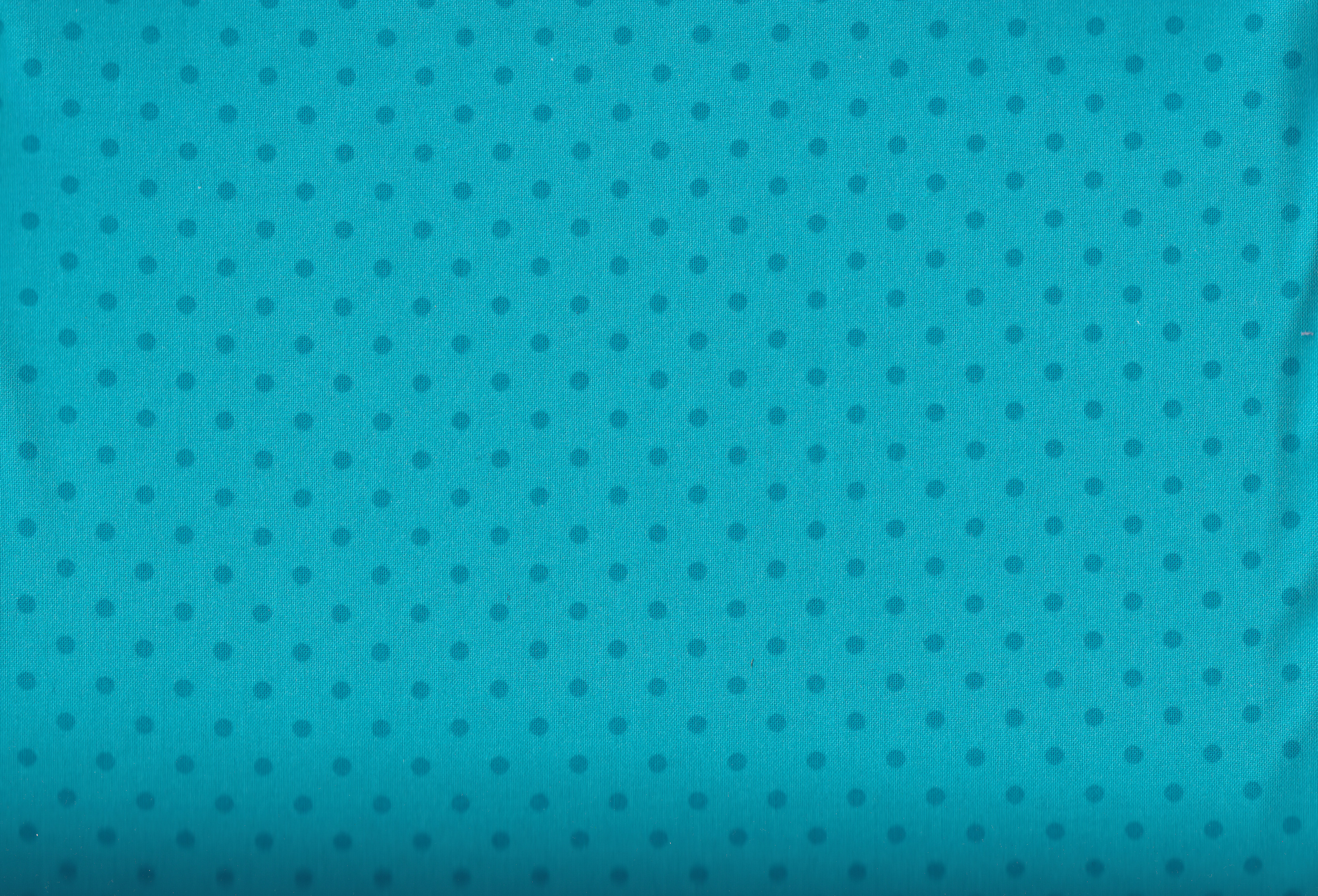 Dot Turquoise