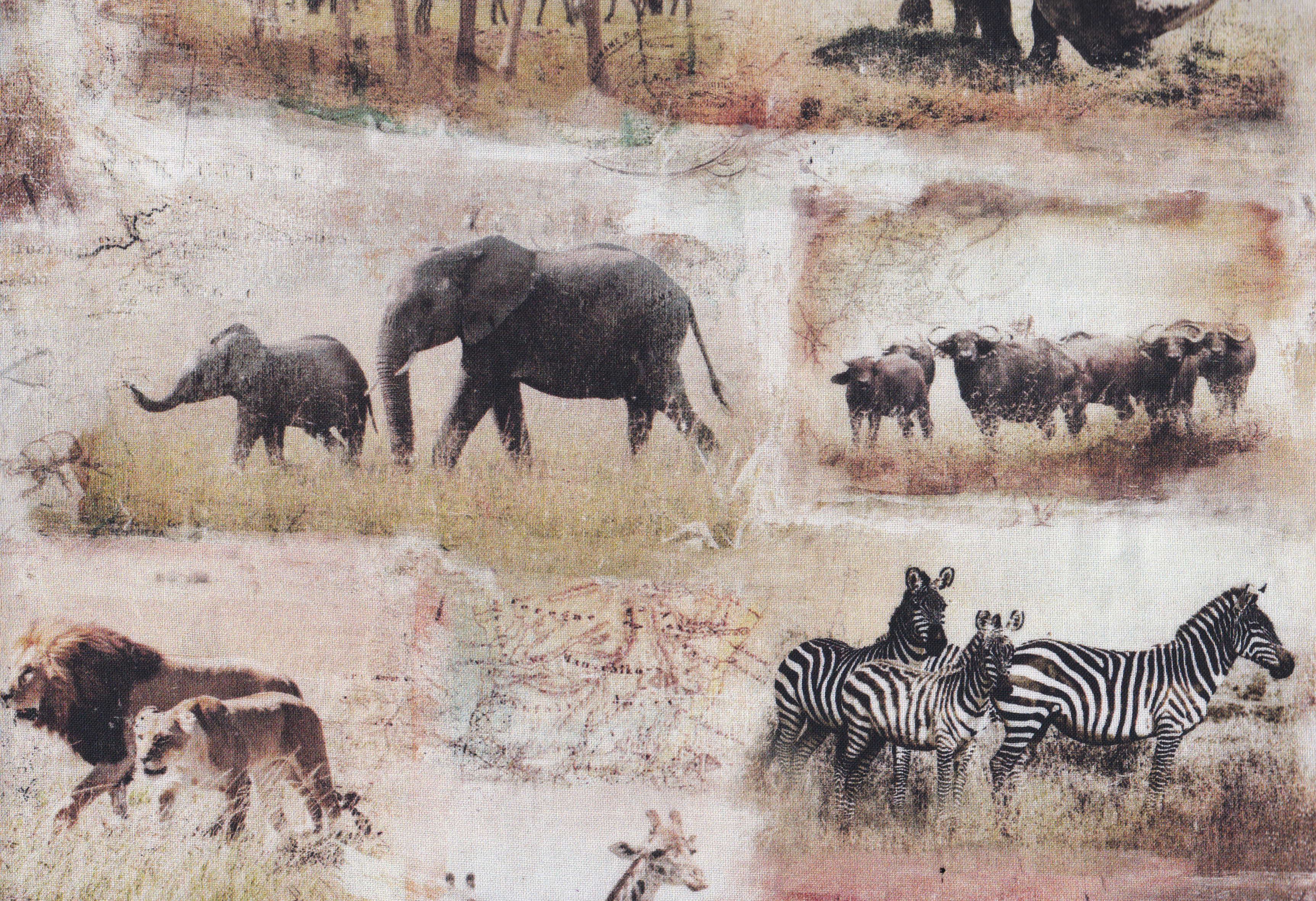Stoff mit Afrikanischen Tieren, Elefant, Zebra, Löwen.