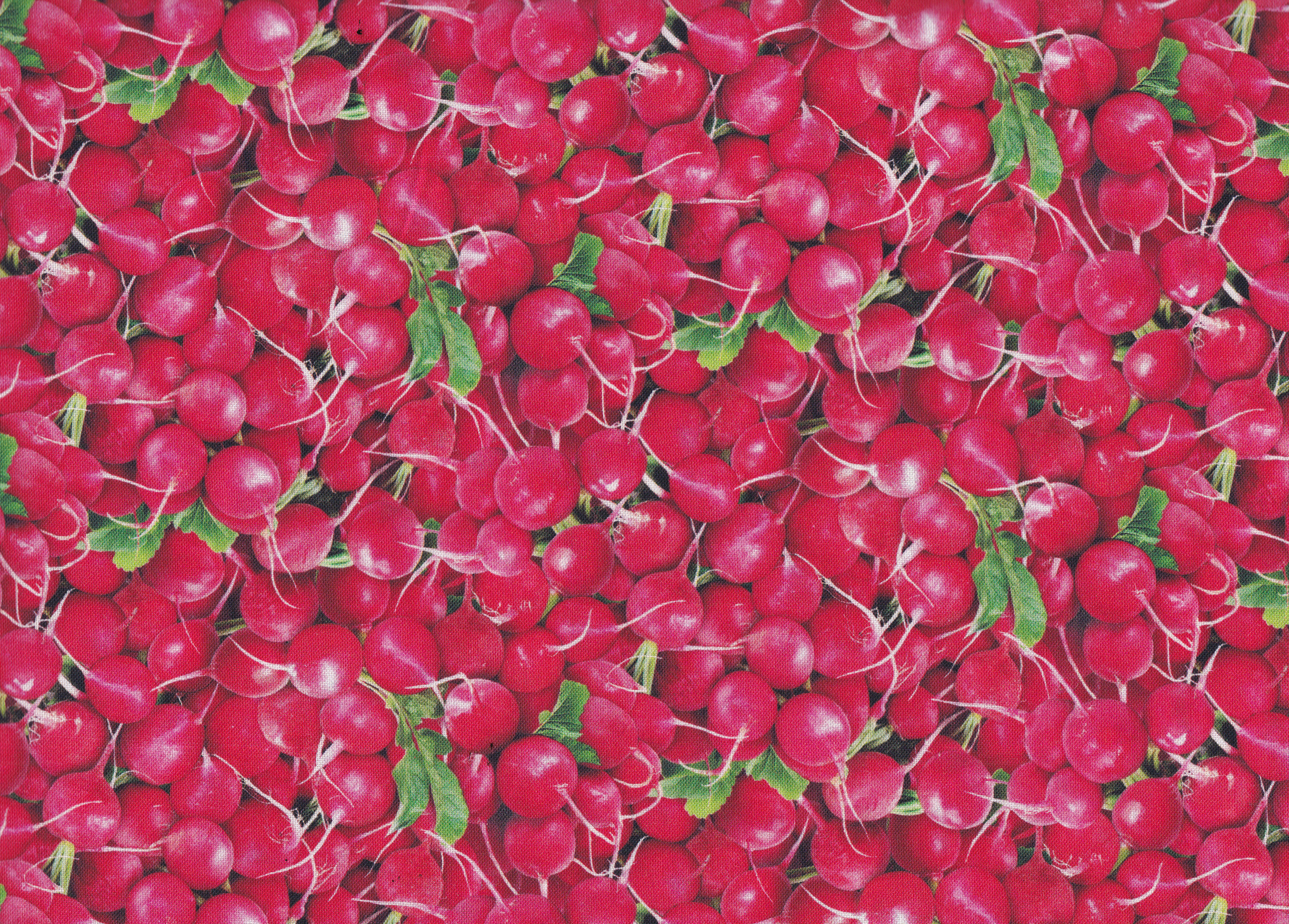 Food Festival  Radieschen