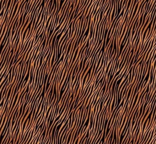 Zebra-Orange