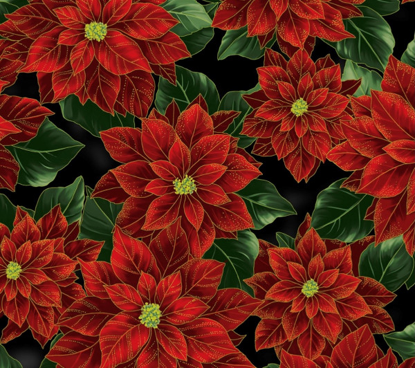 Poinsettia/ black